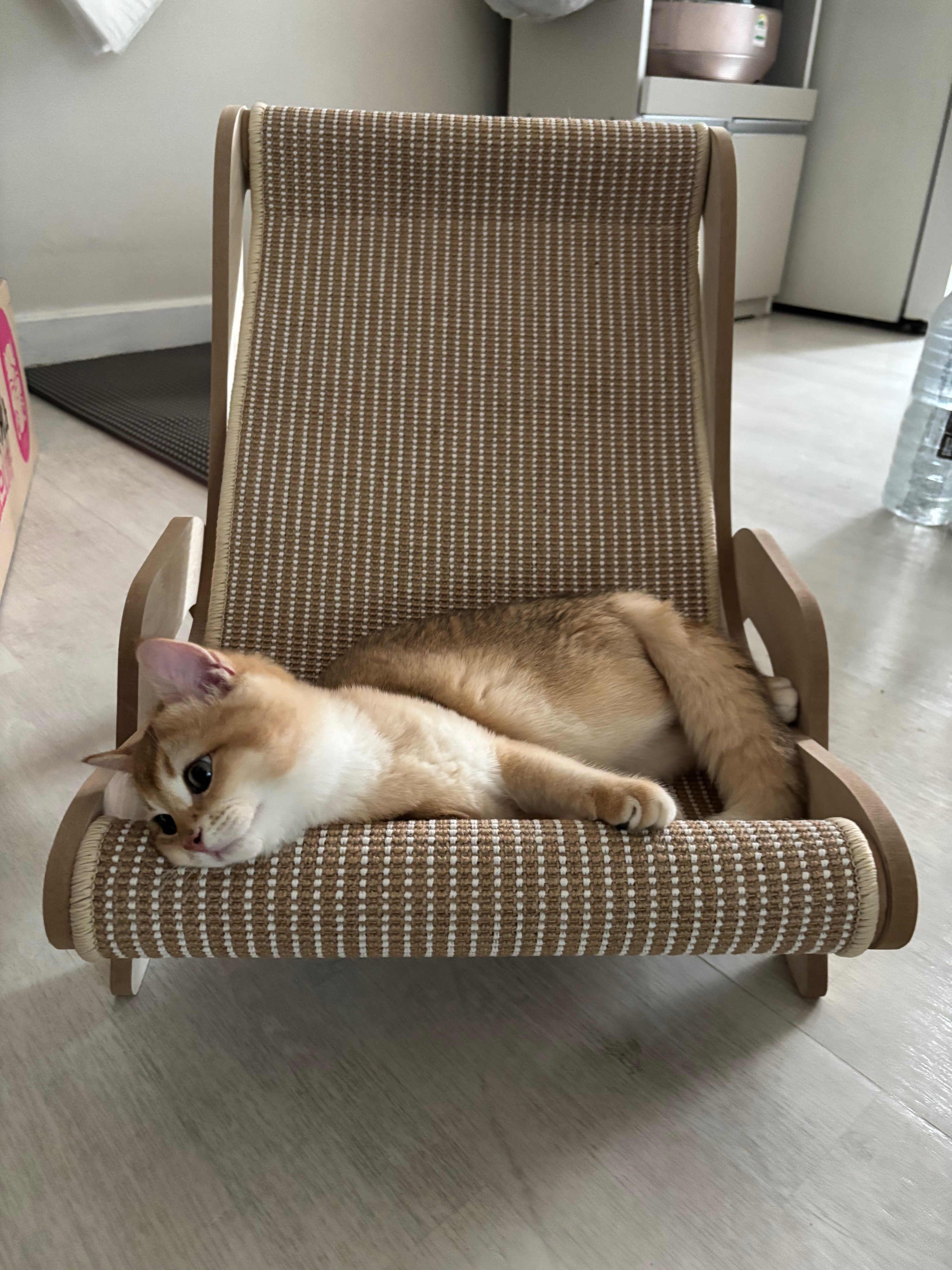 베스트 후기 이미지