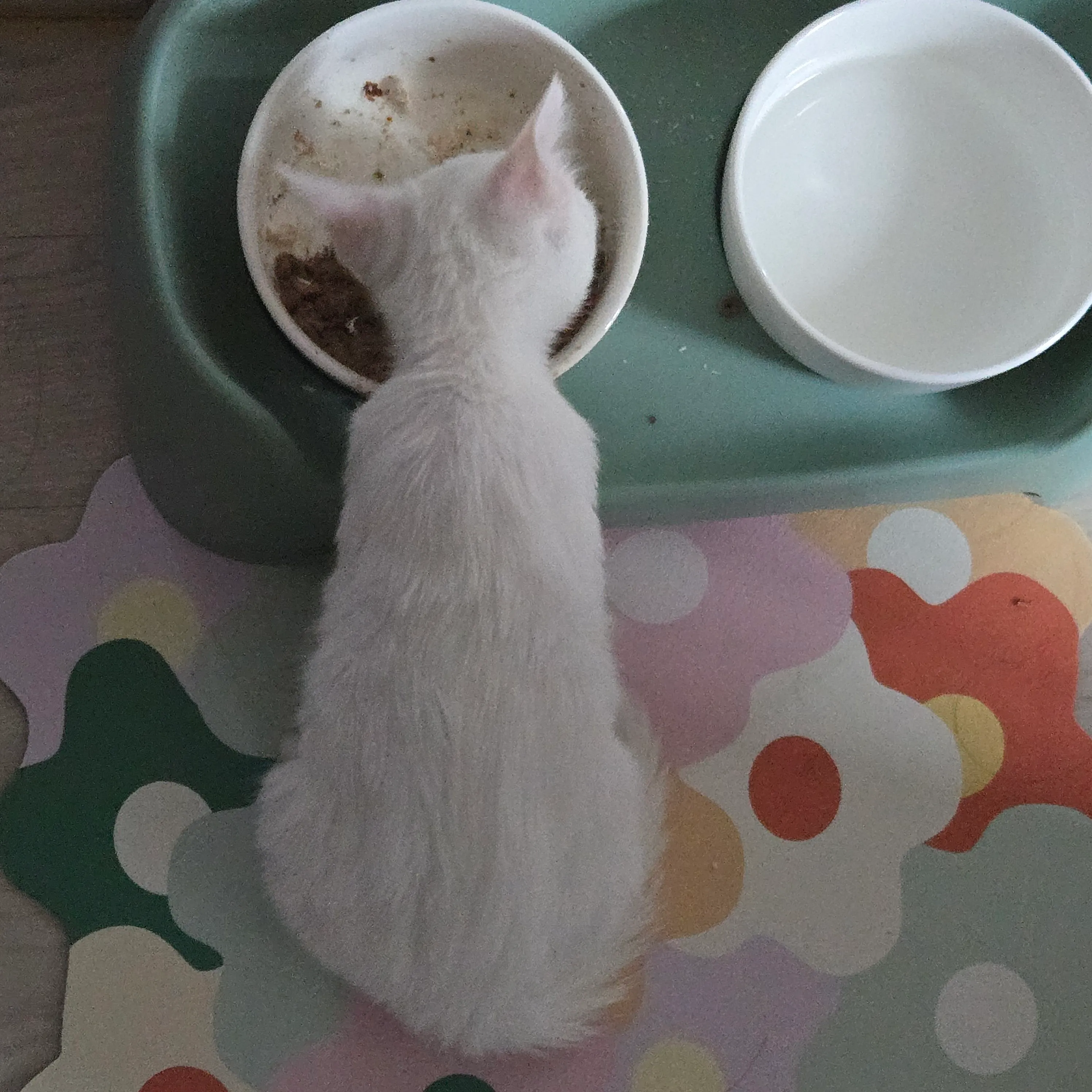 베스트 후기 이미지