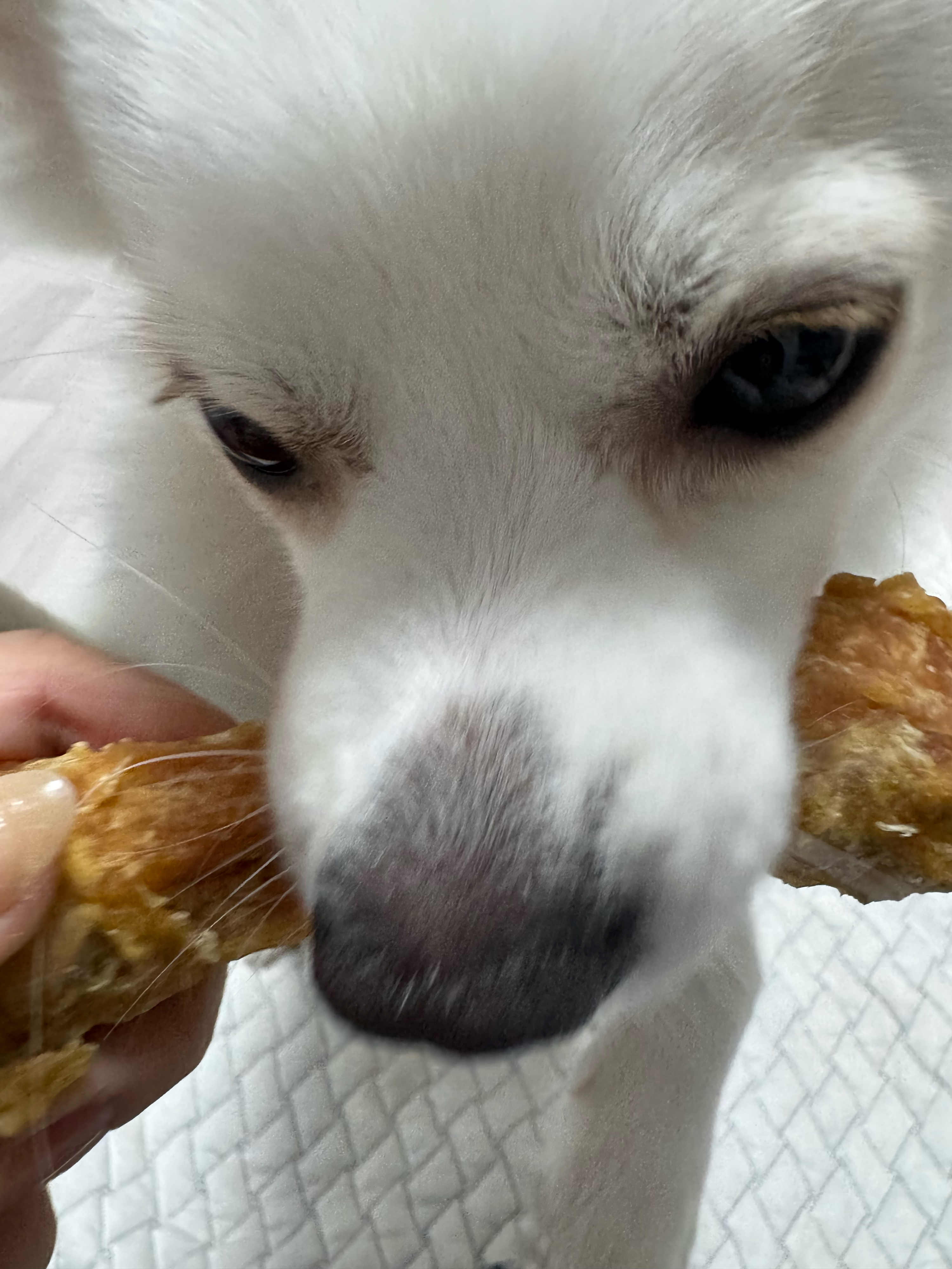 베스트 후기 이미지