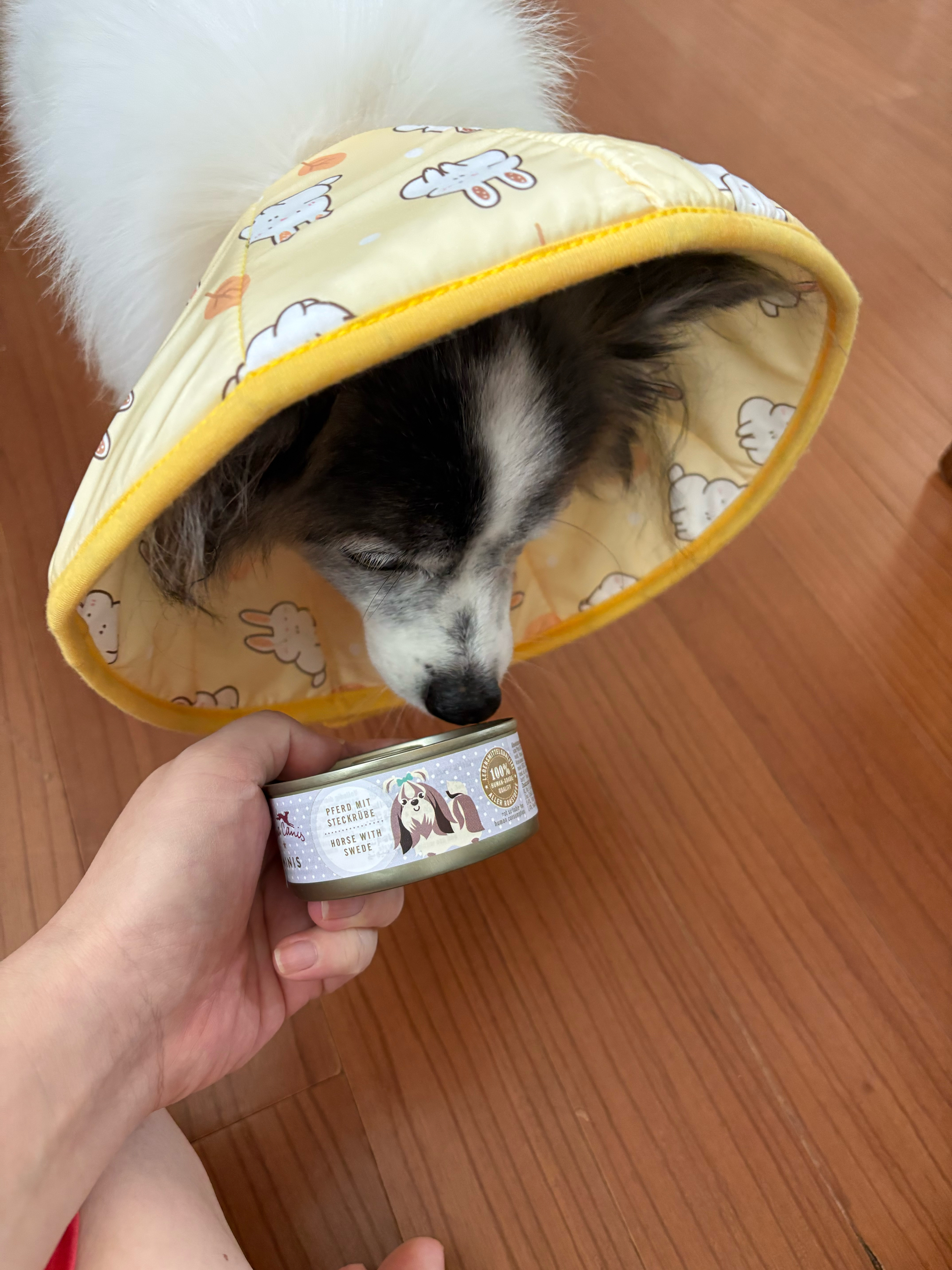 베스트 후기 이미지