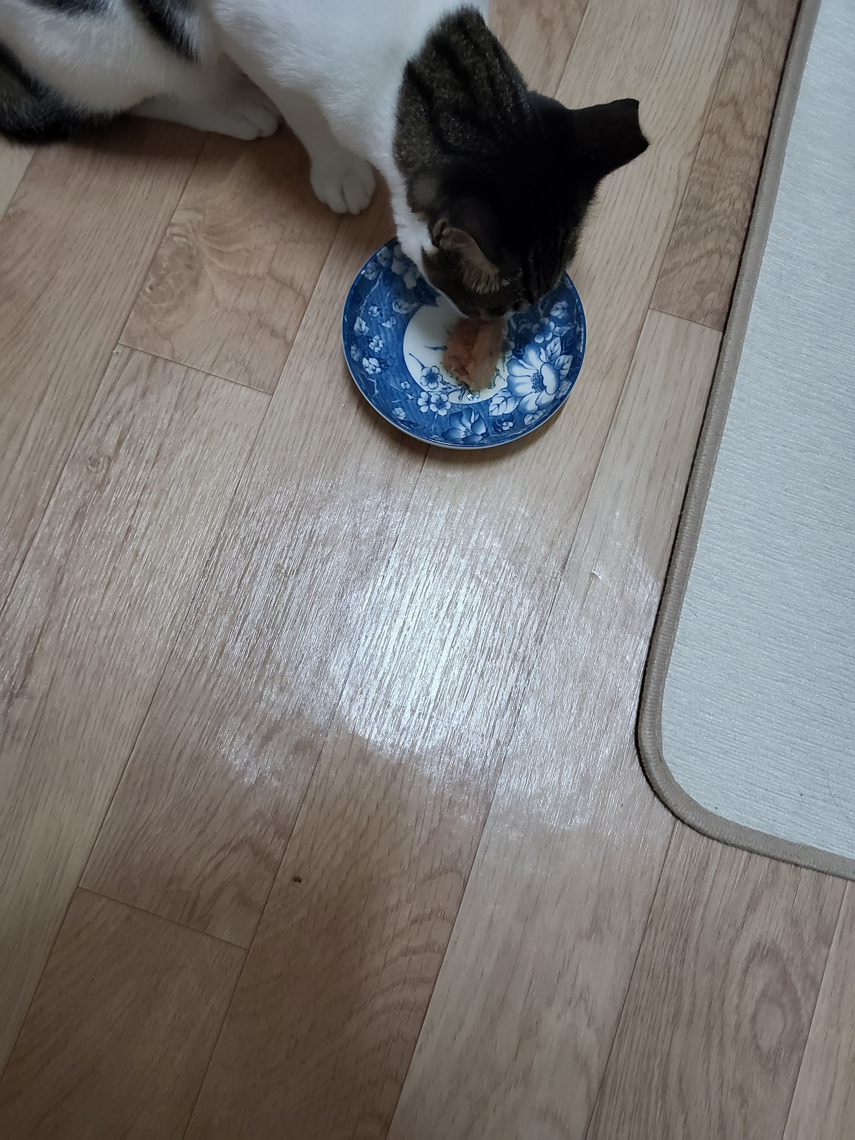 베스트 후기 이미지