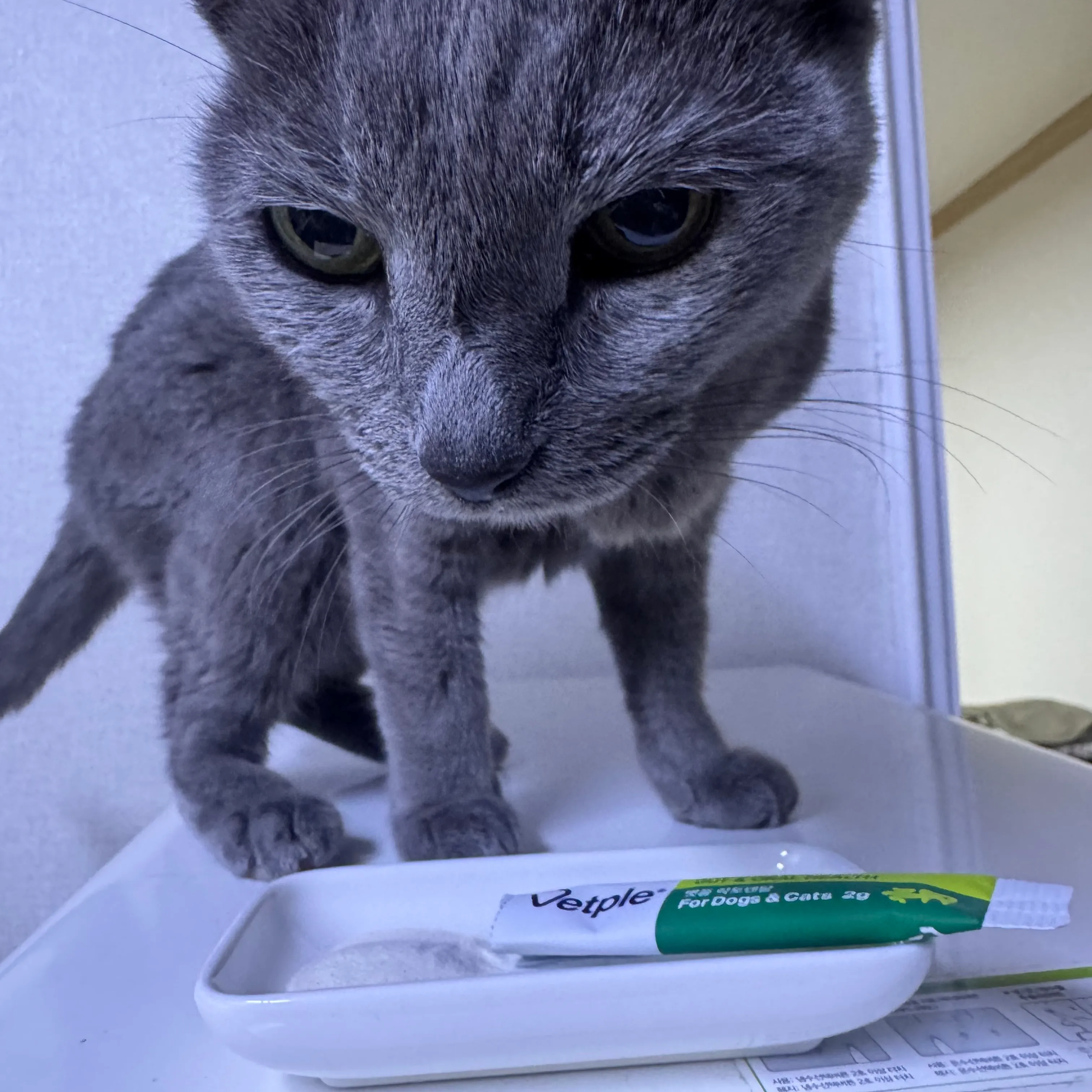 베스트 후기 이미지