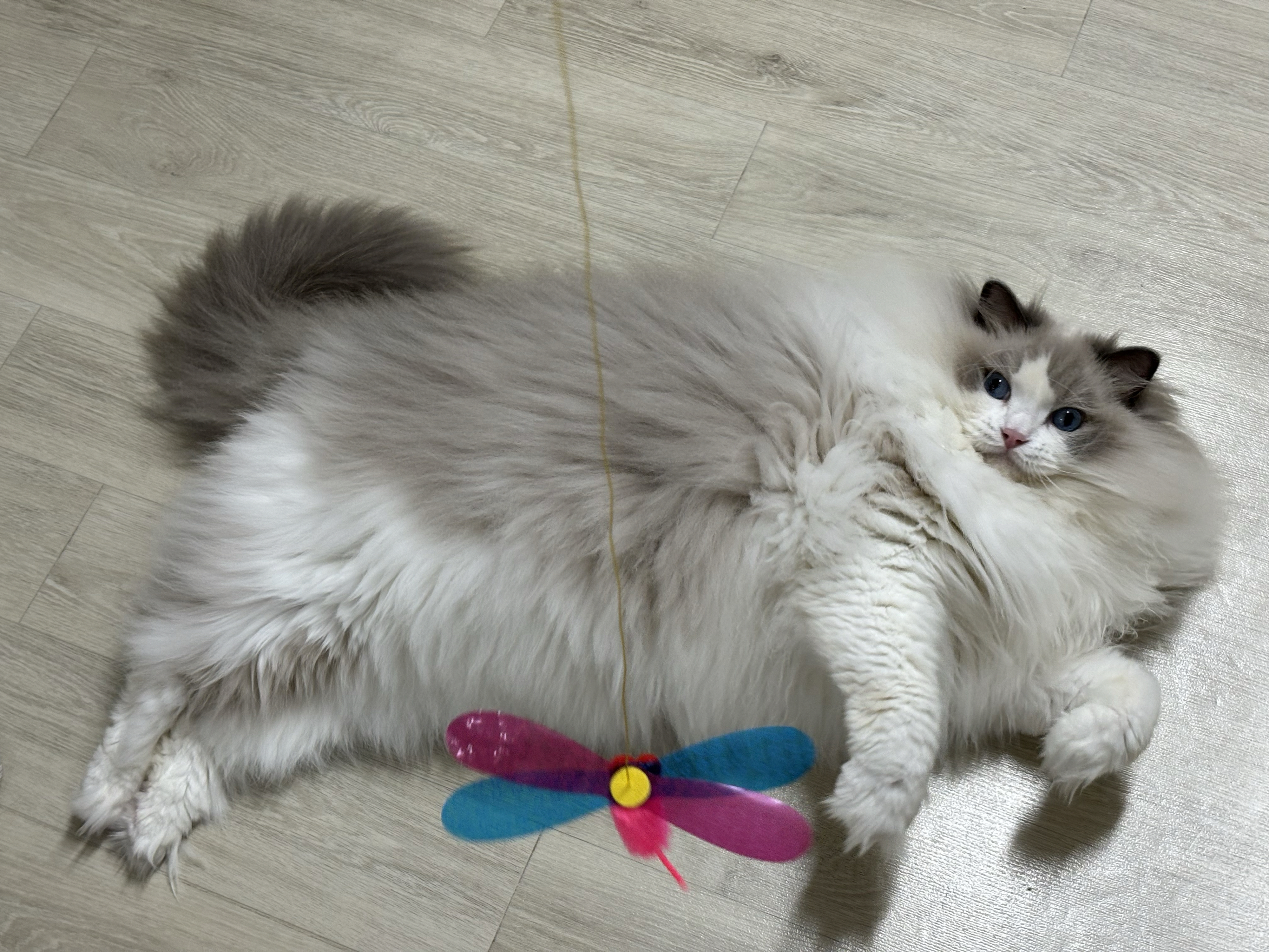 베스트 후기 이미지