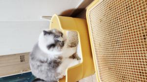 베스트 후기 이미지