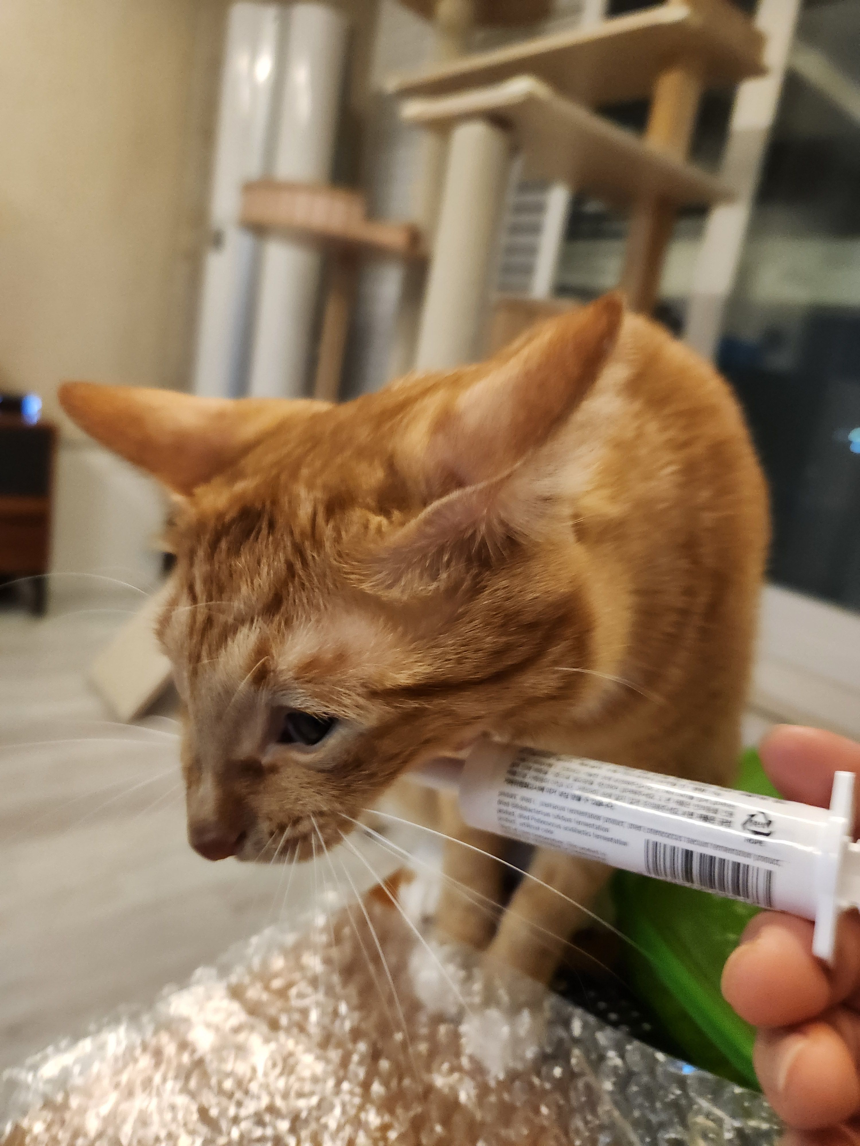 베스트 후기 이미지