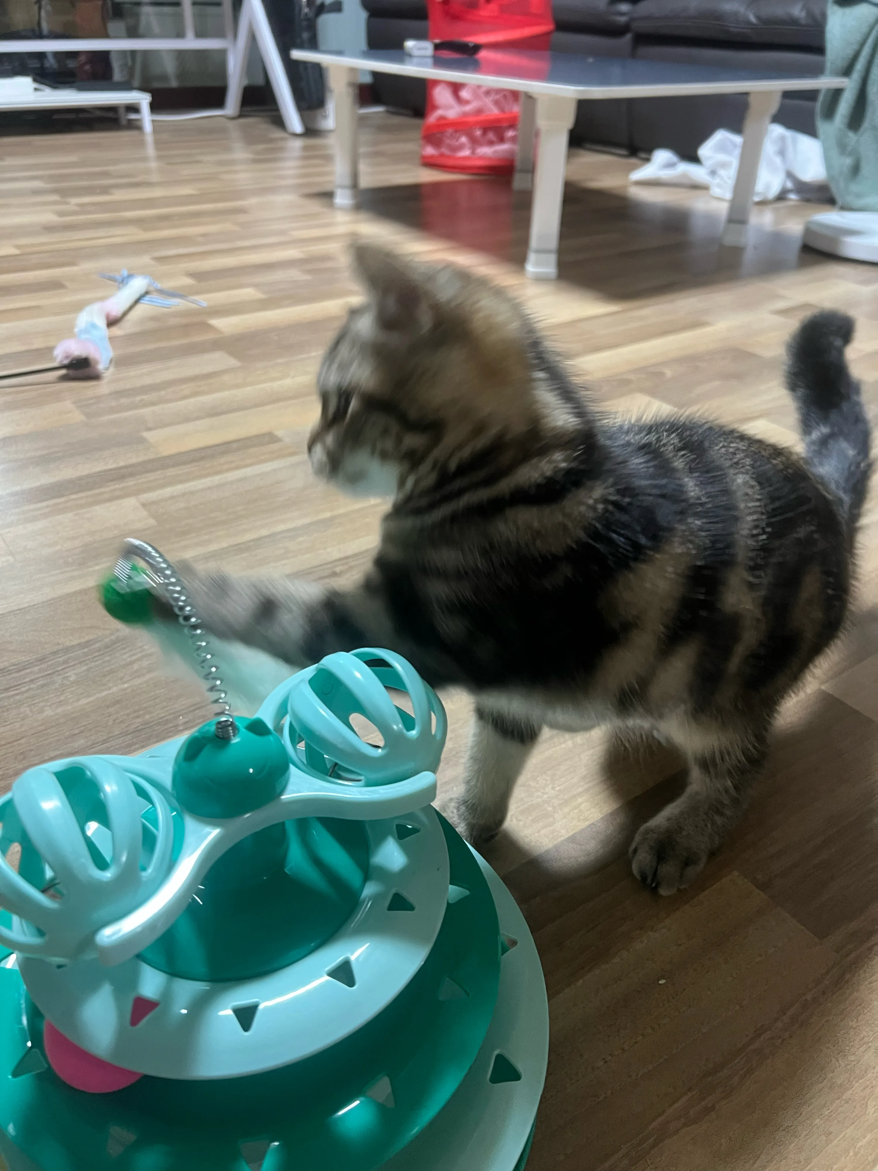 베스트 후기 이미지