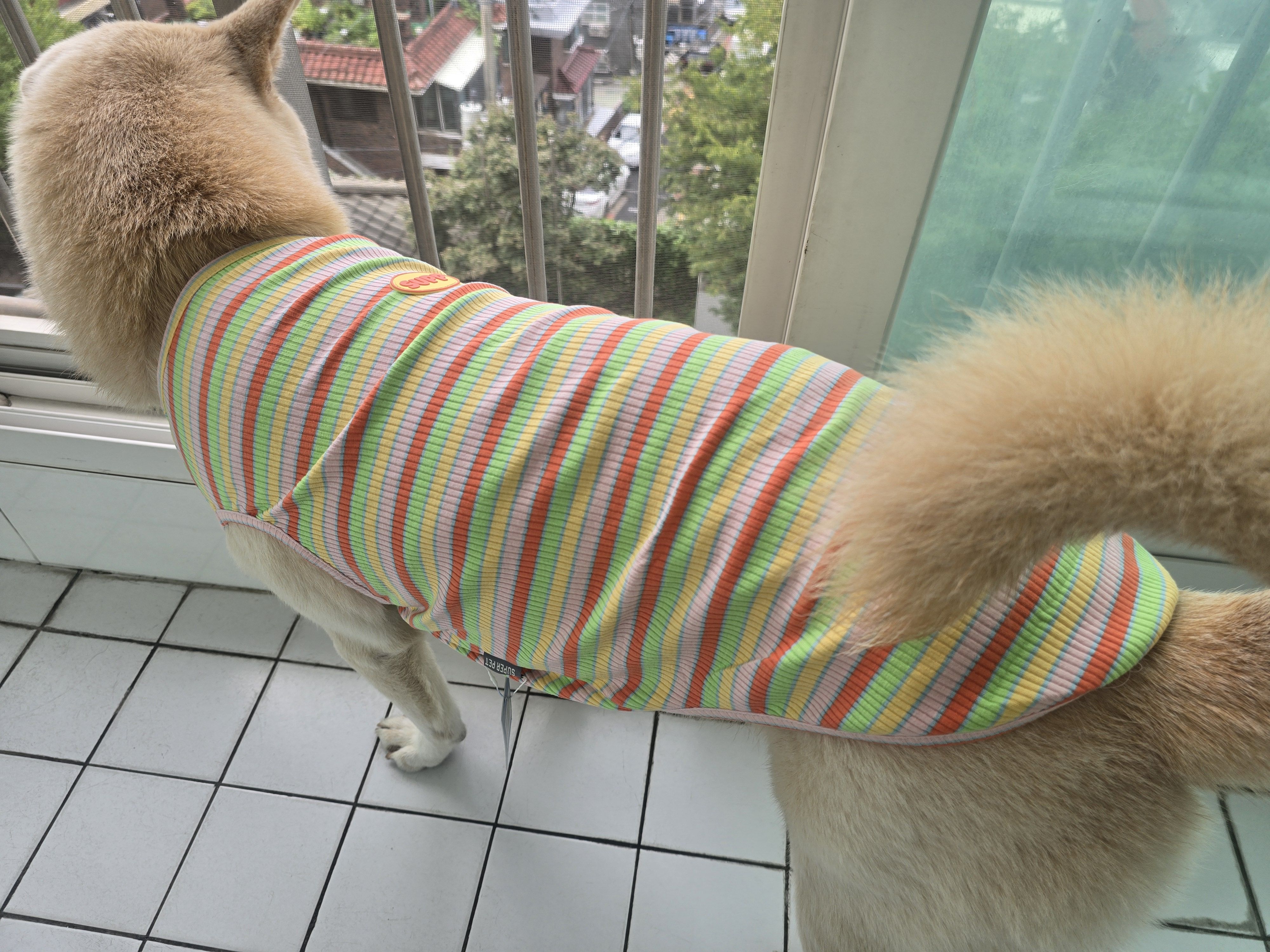 베스트 후기 이미지