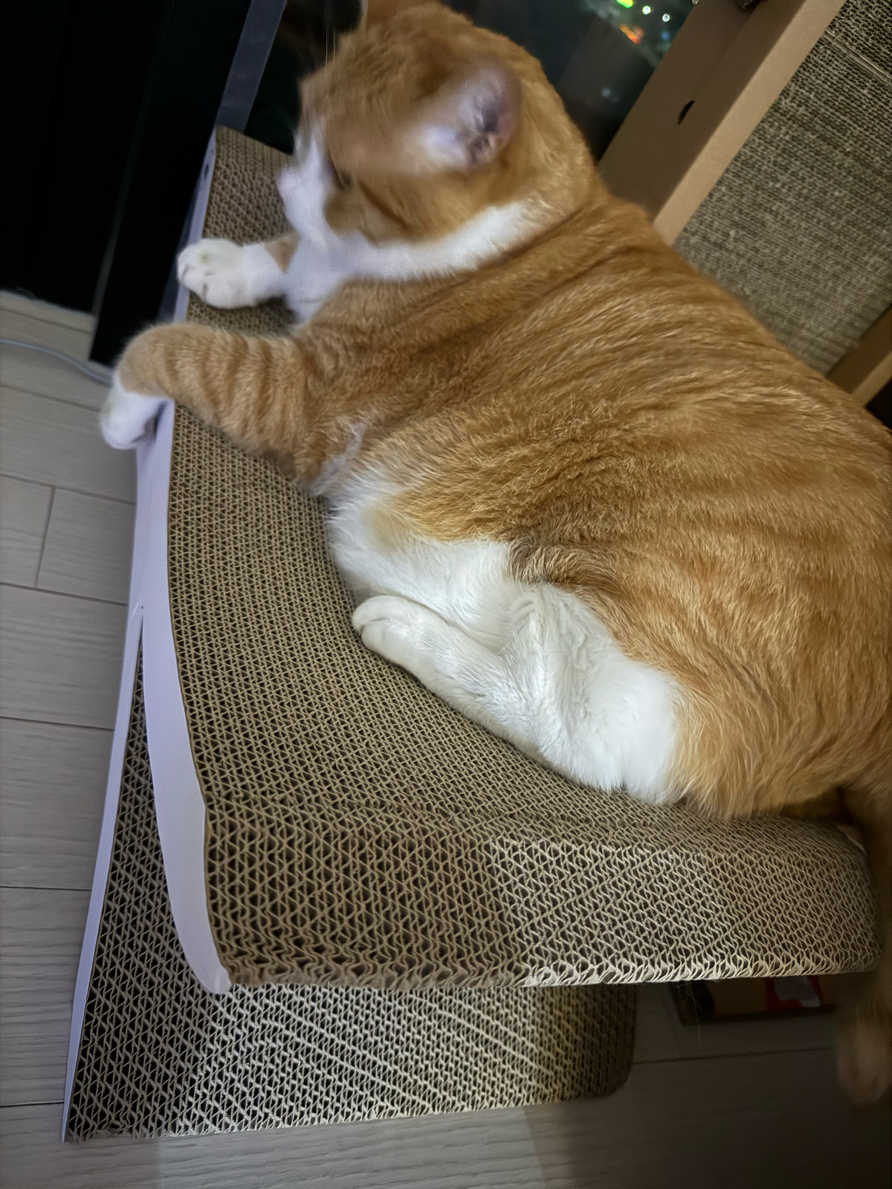 베스트 후기 이미지