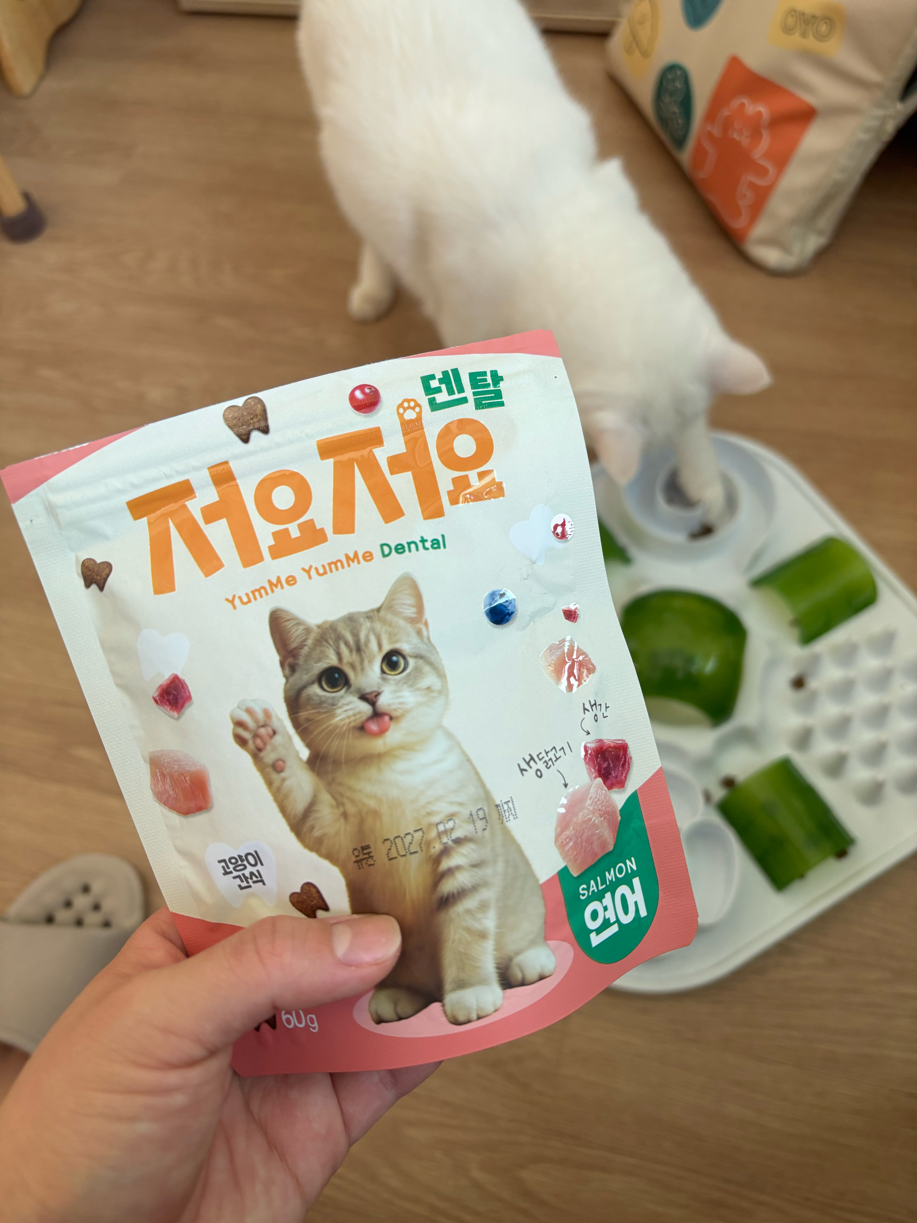 베스트 후기 이미지