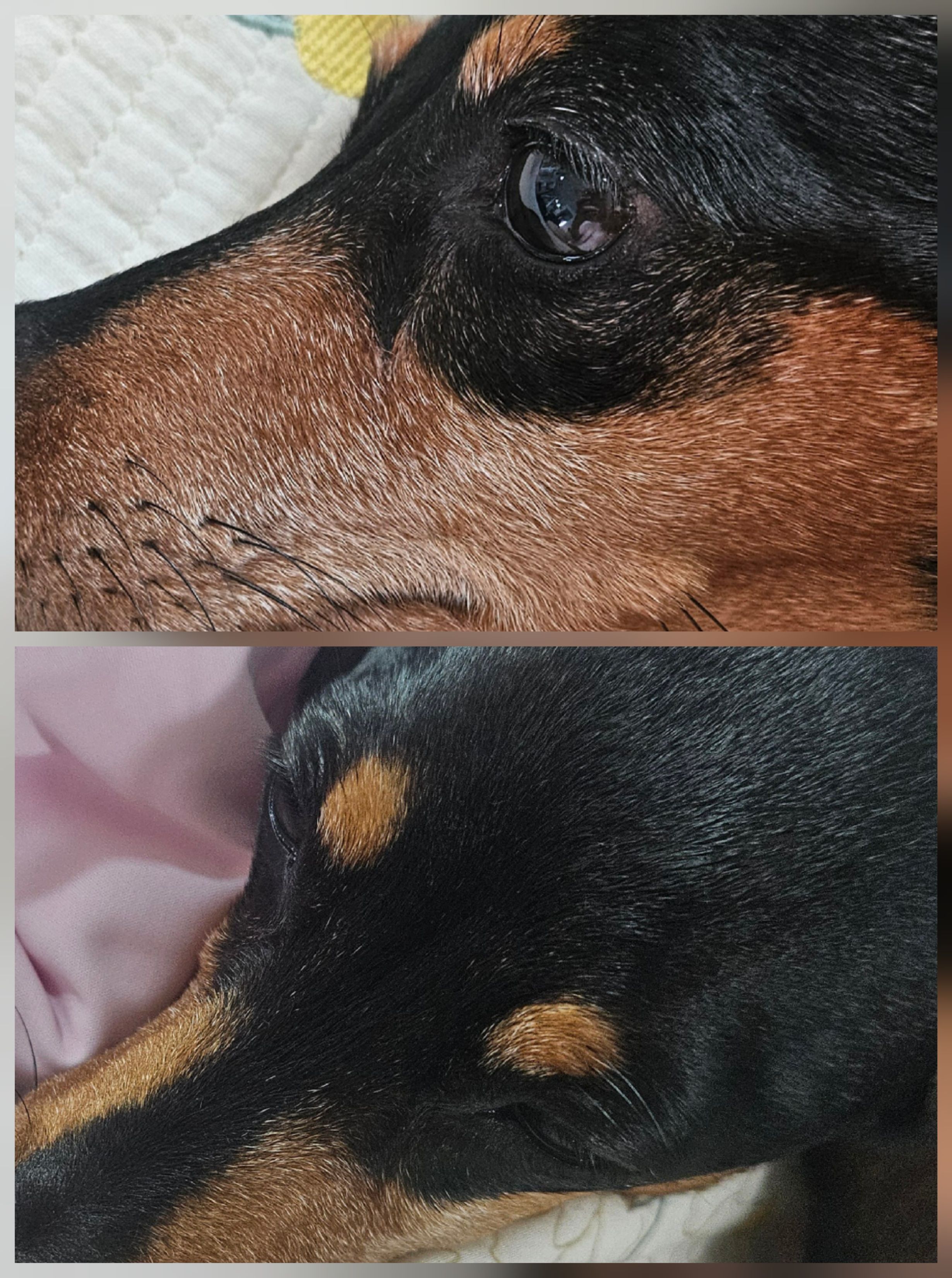 베스트 후기 이미지