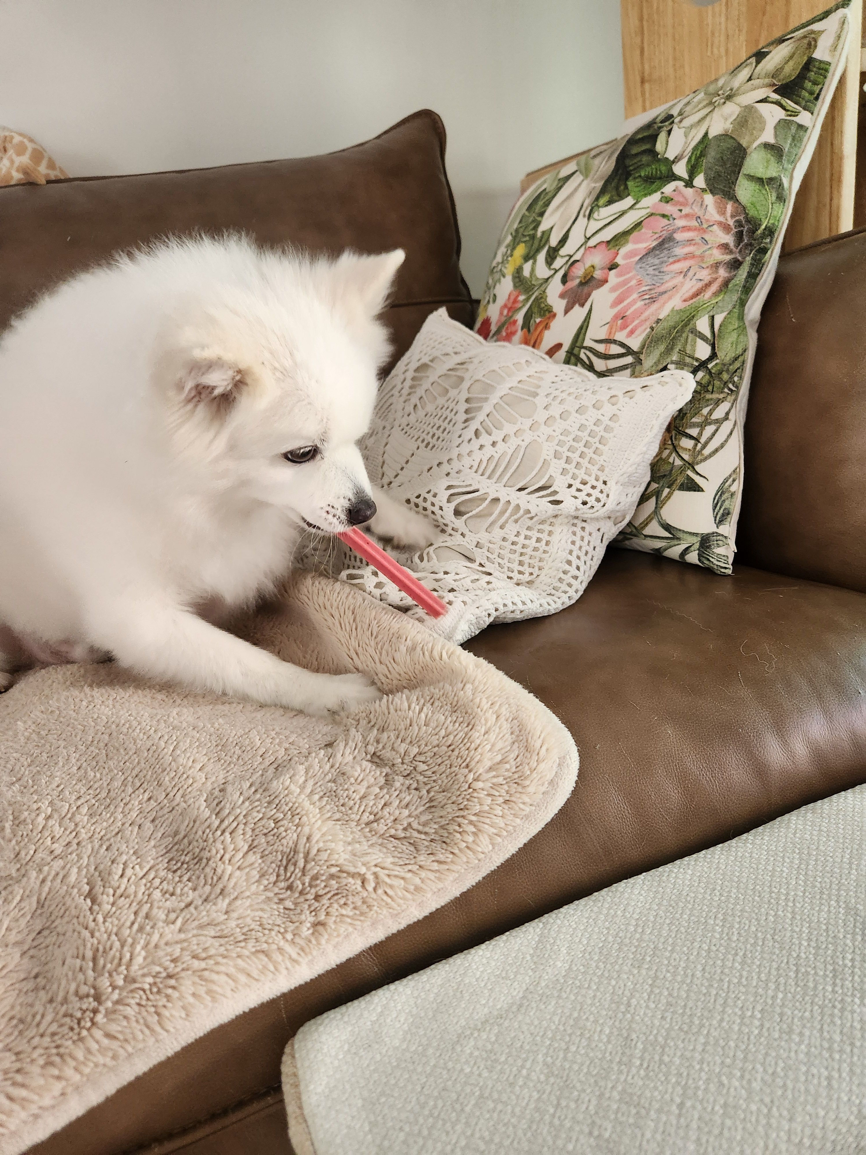 베스트 후기 이미지