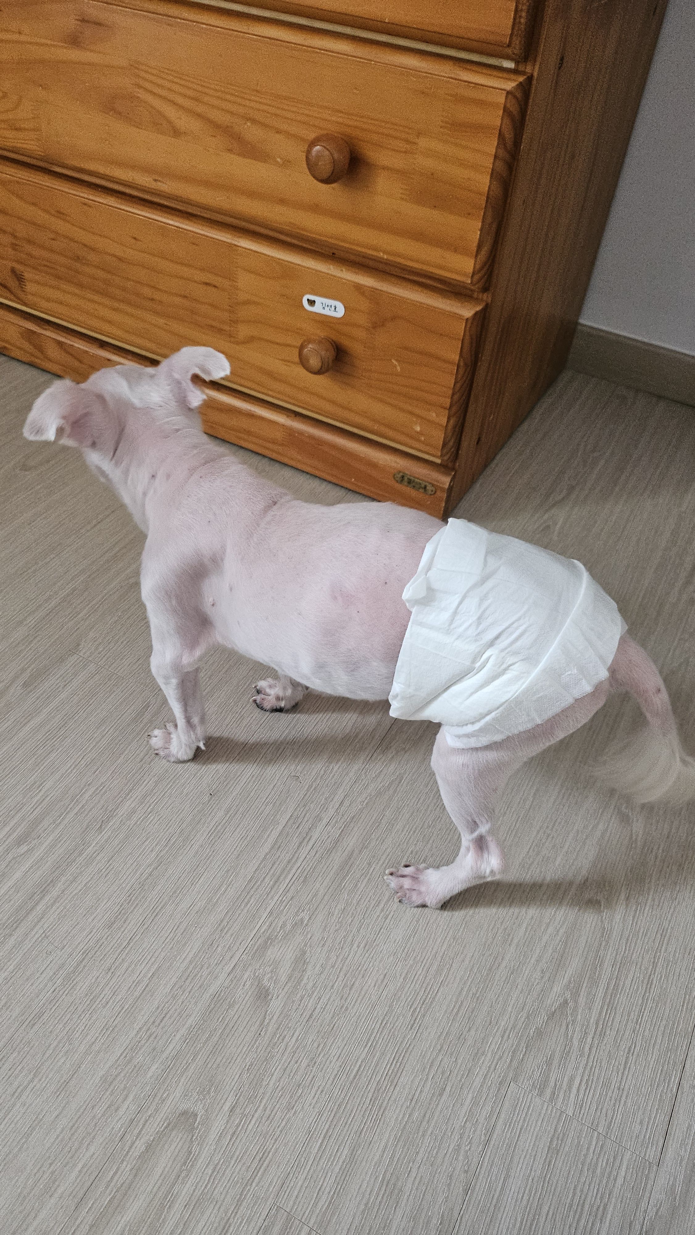 베스트 후기 이미지