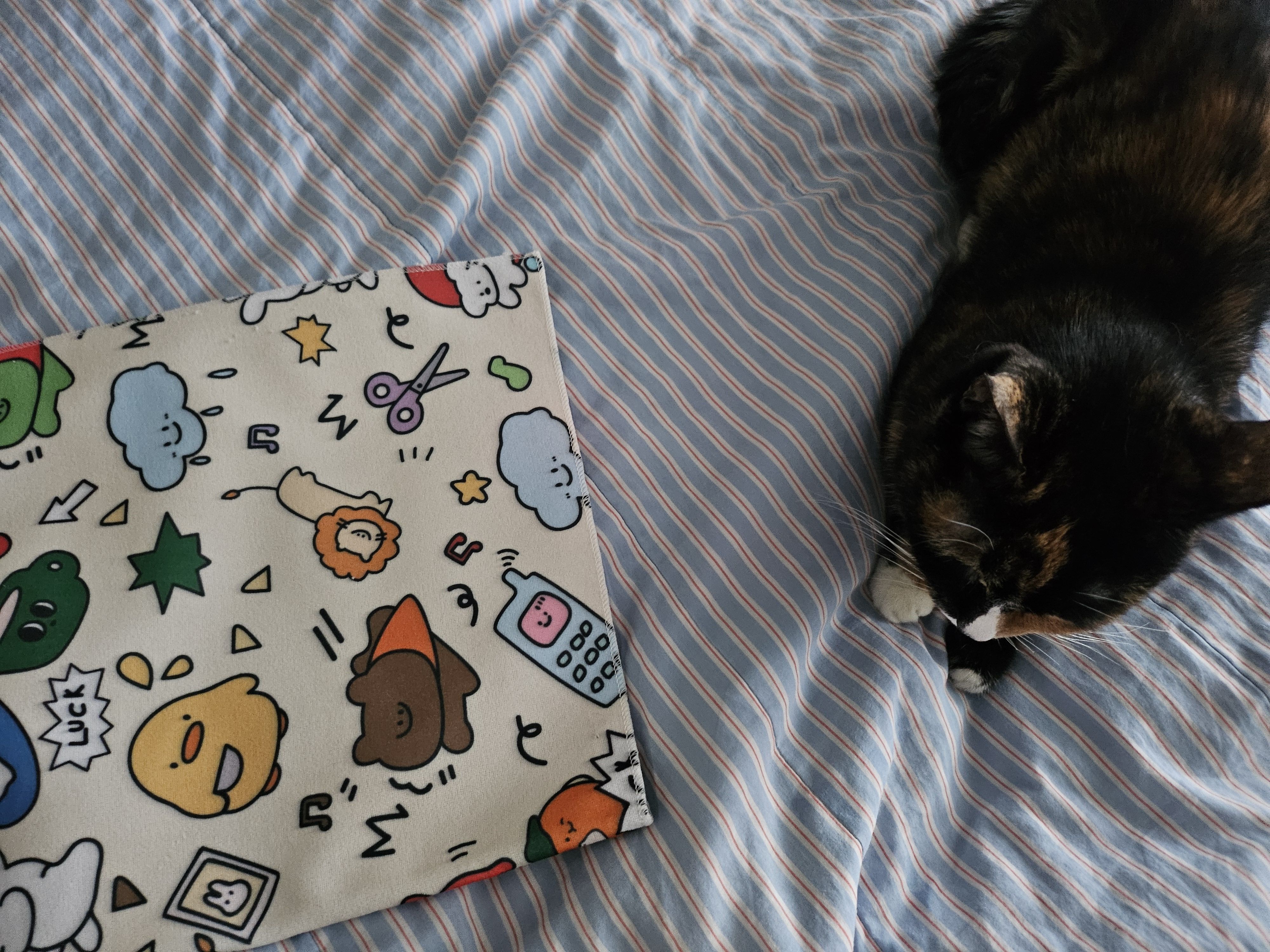 베스트 후기 이미지