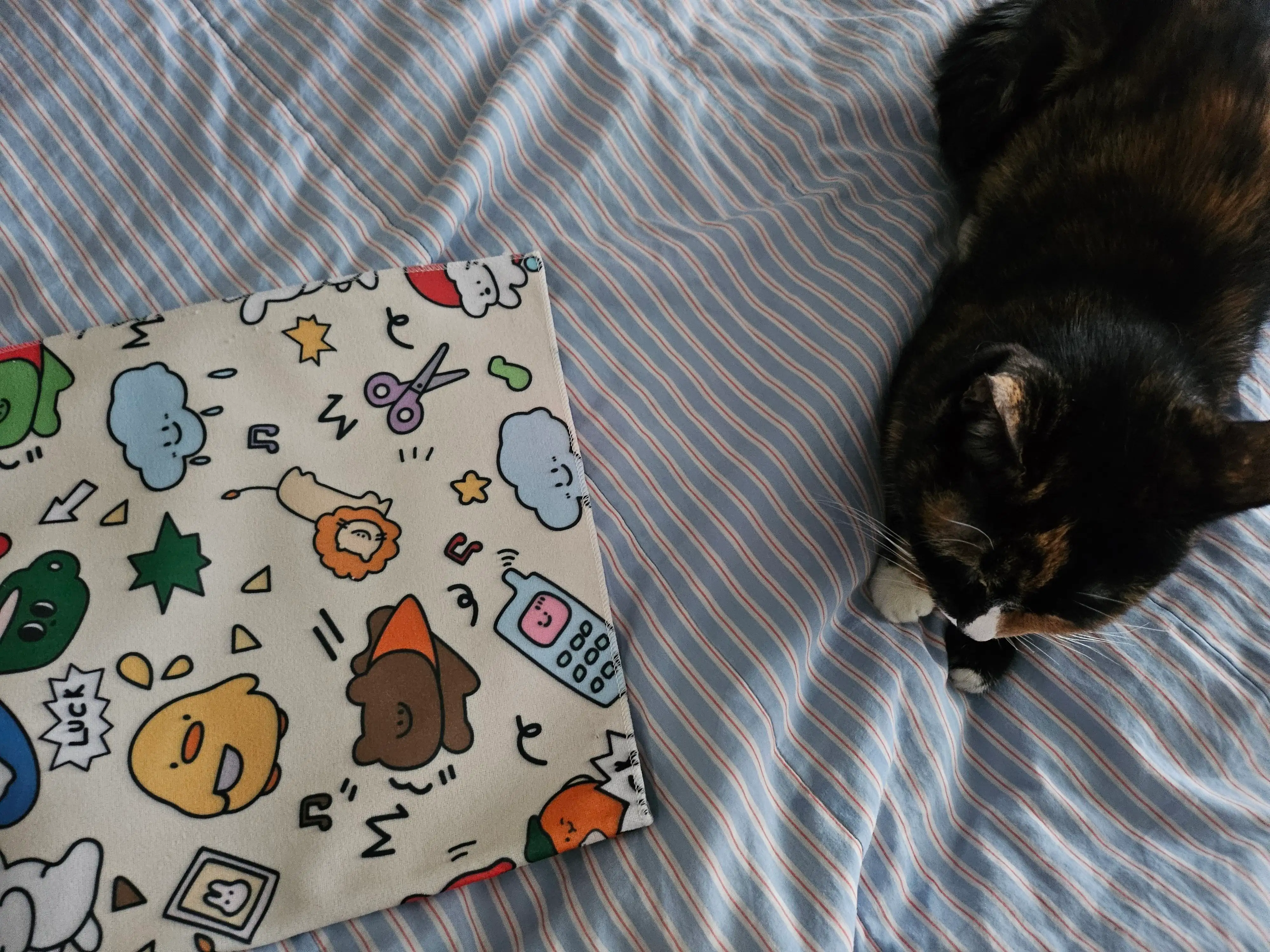 베스트 후기 이미지