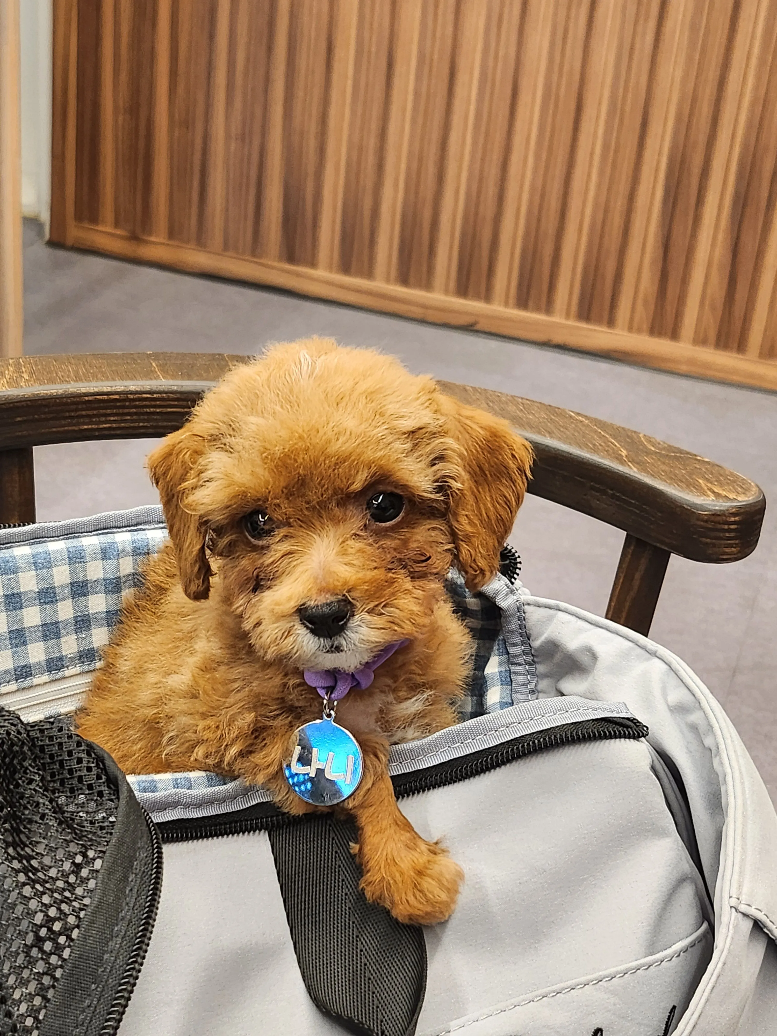 베스트 후기 이미지