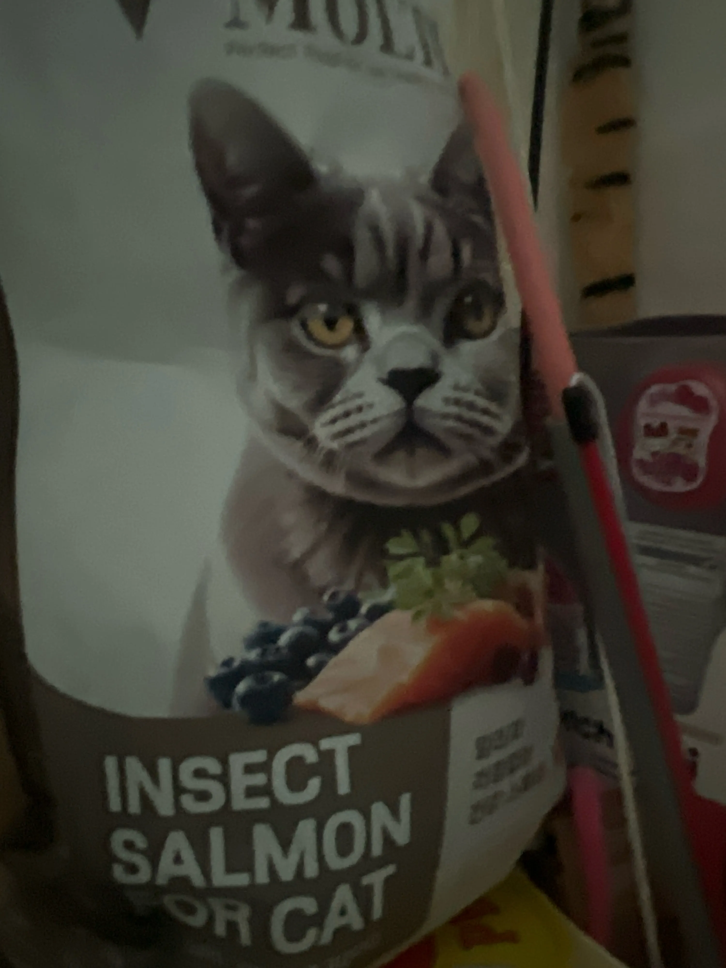 베스트 후기 이미지