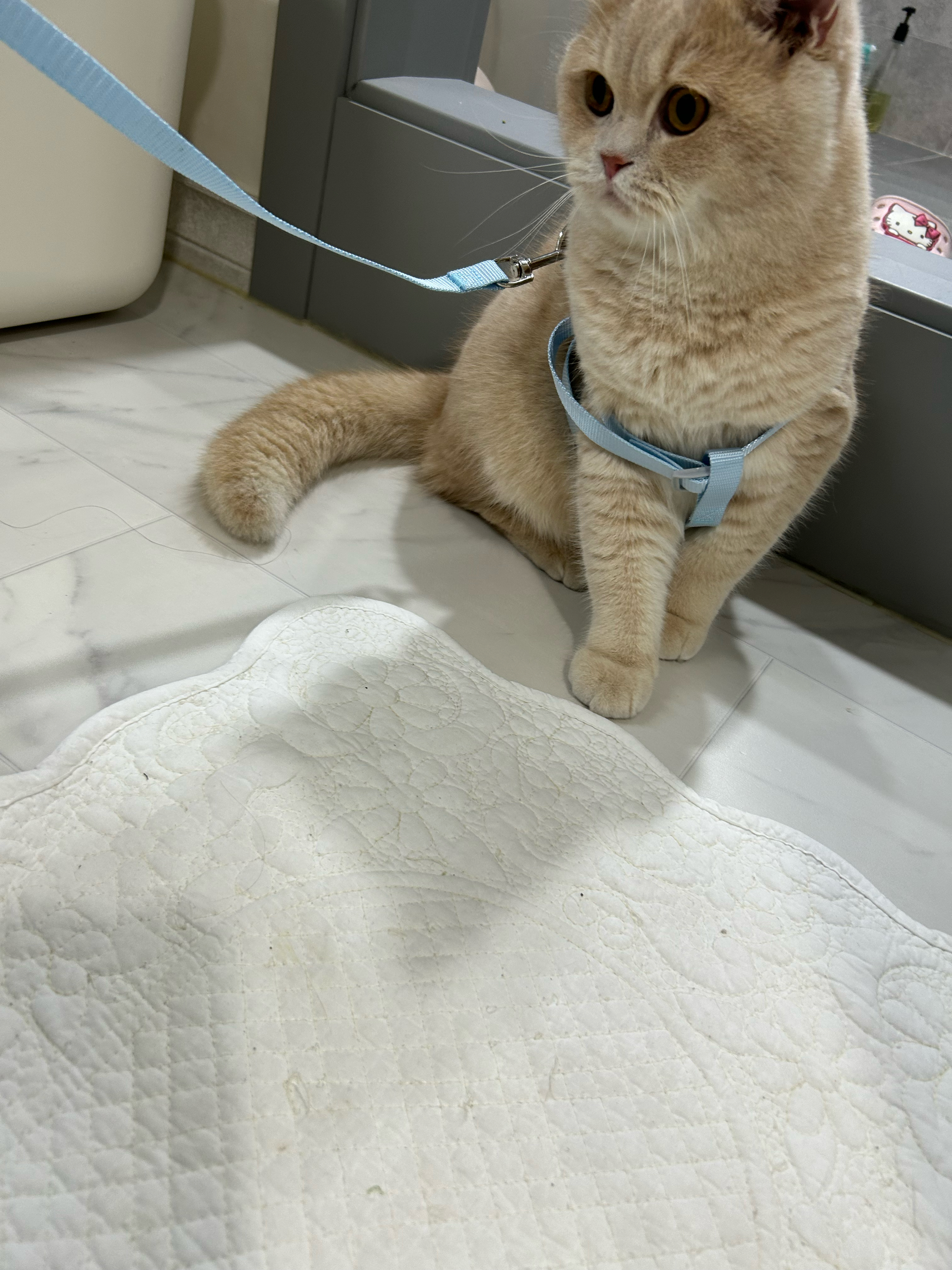 베스트 후기 이미지