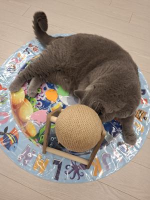 베스트 후기 이미지