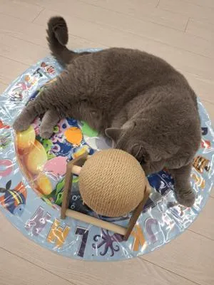 베스트 후기 이미지