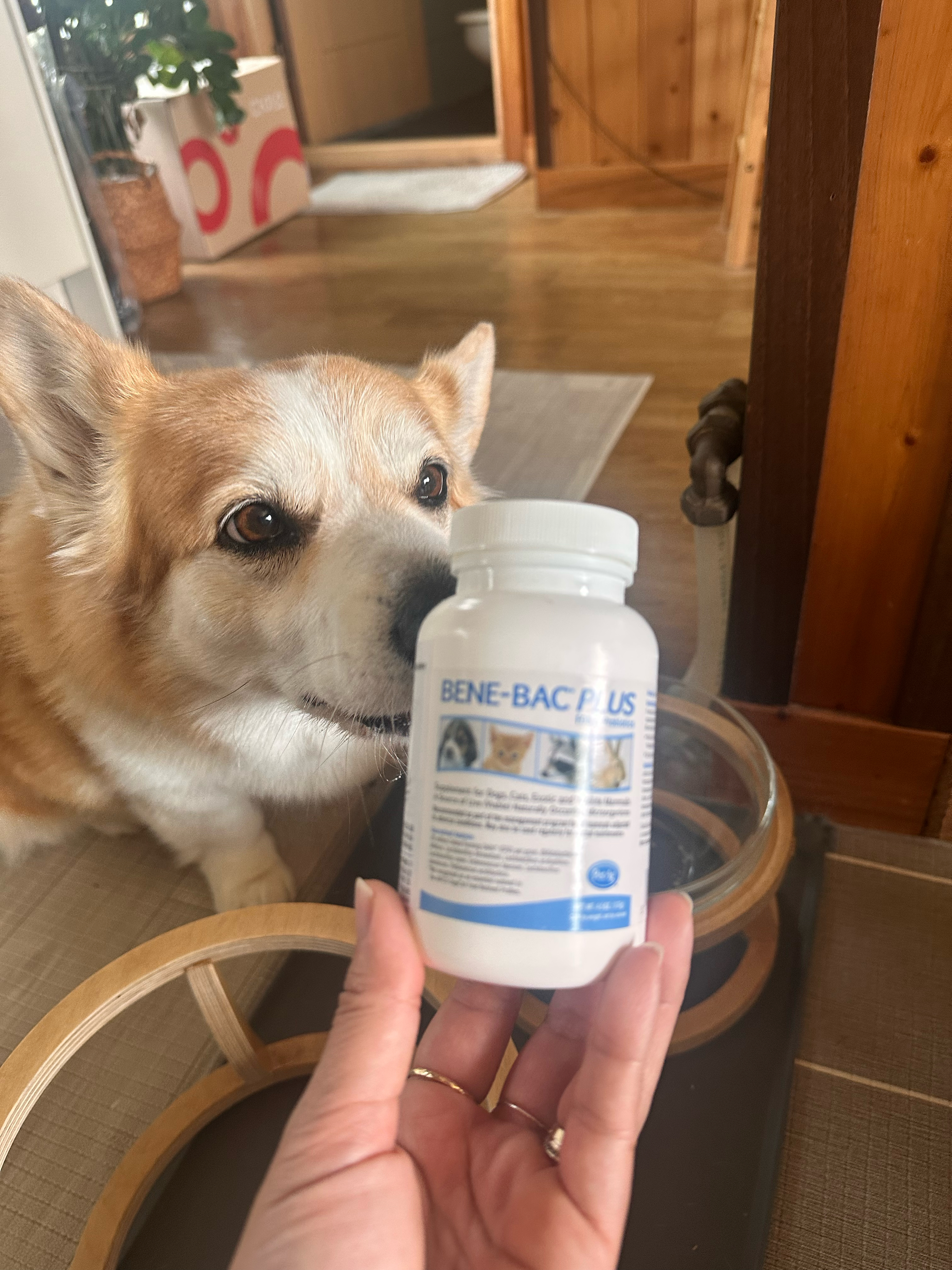 베스트 후기 이미지