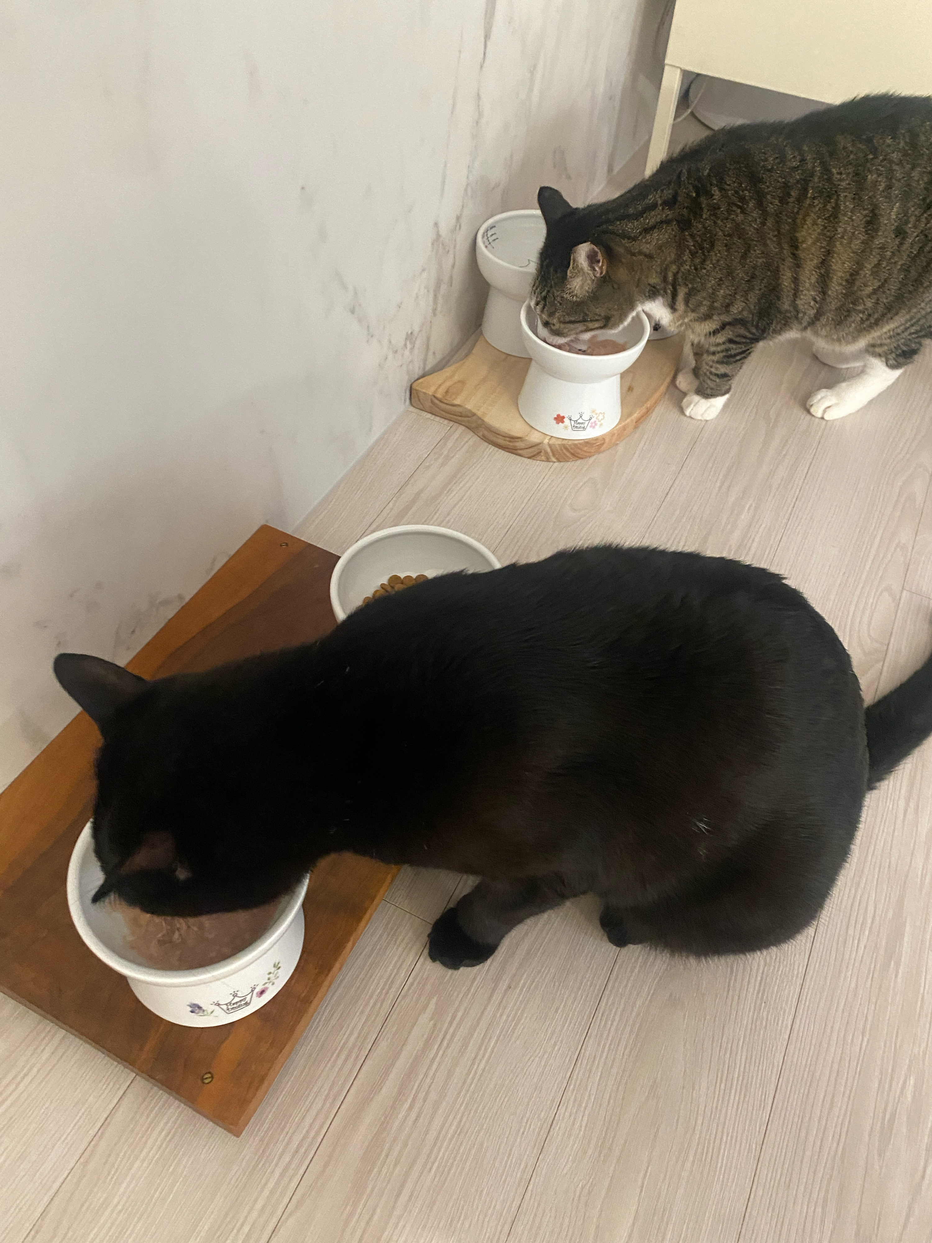 베스트 후기 이미지