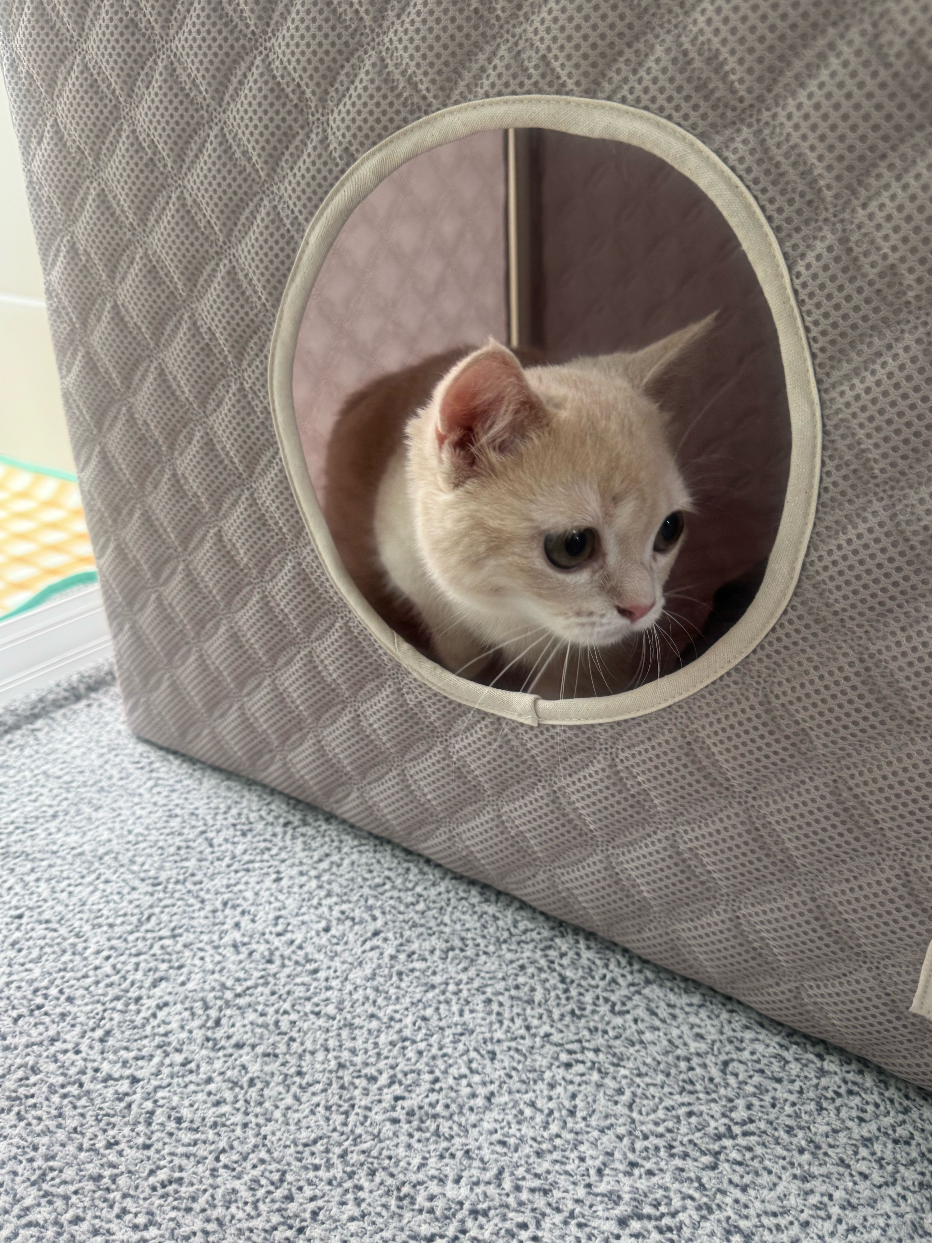 베스트 후기 이미지