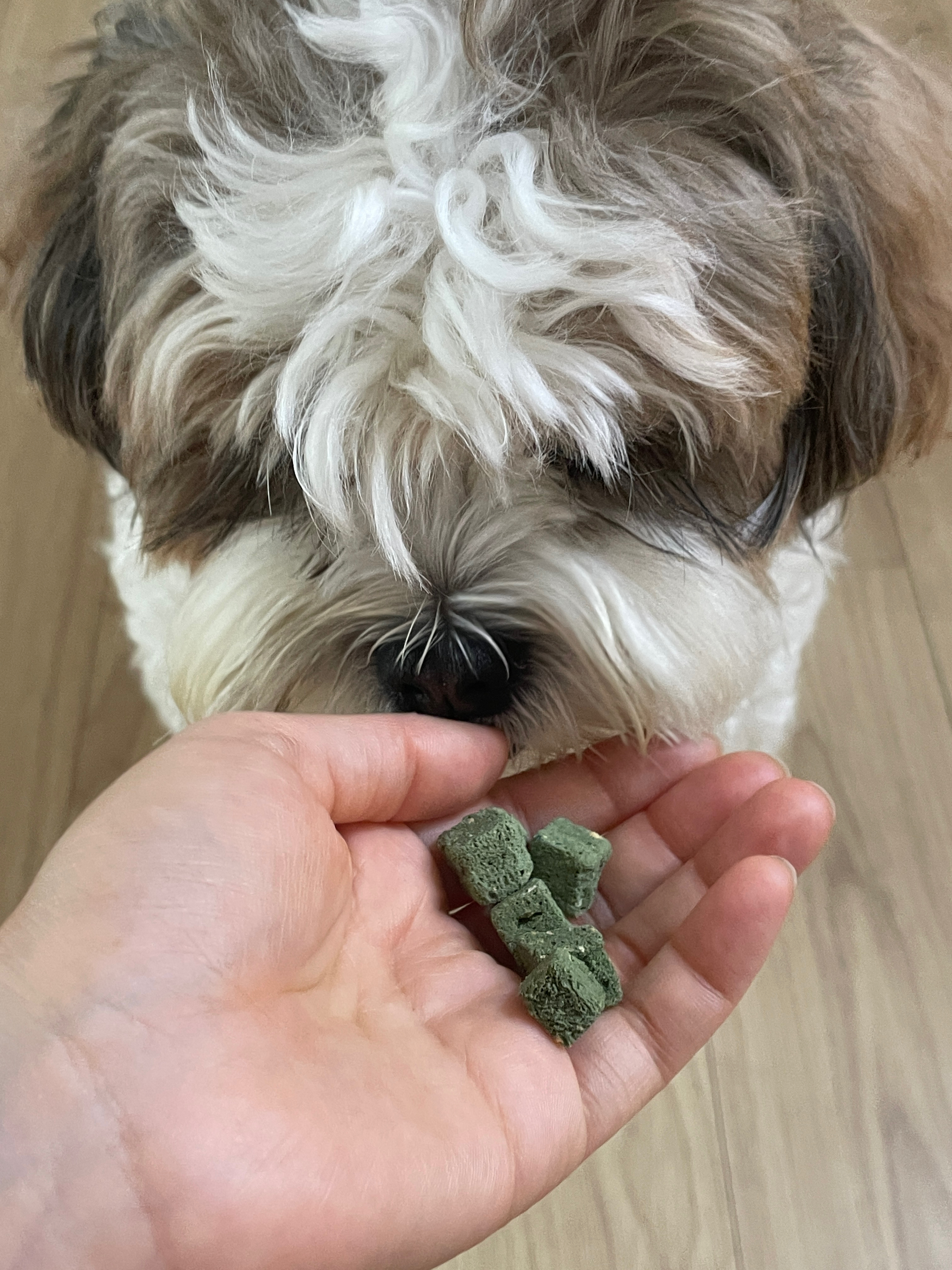 베스트 후기 이미지