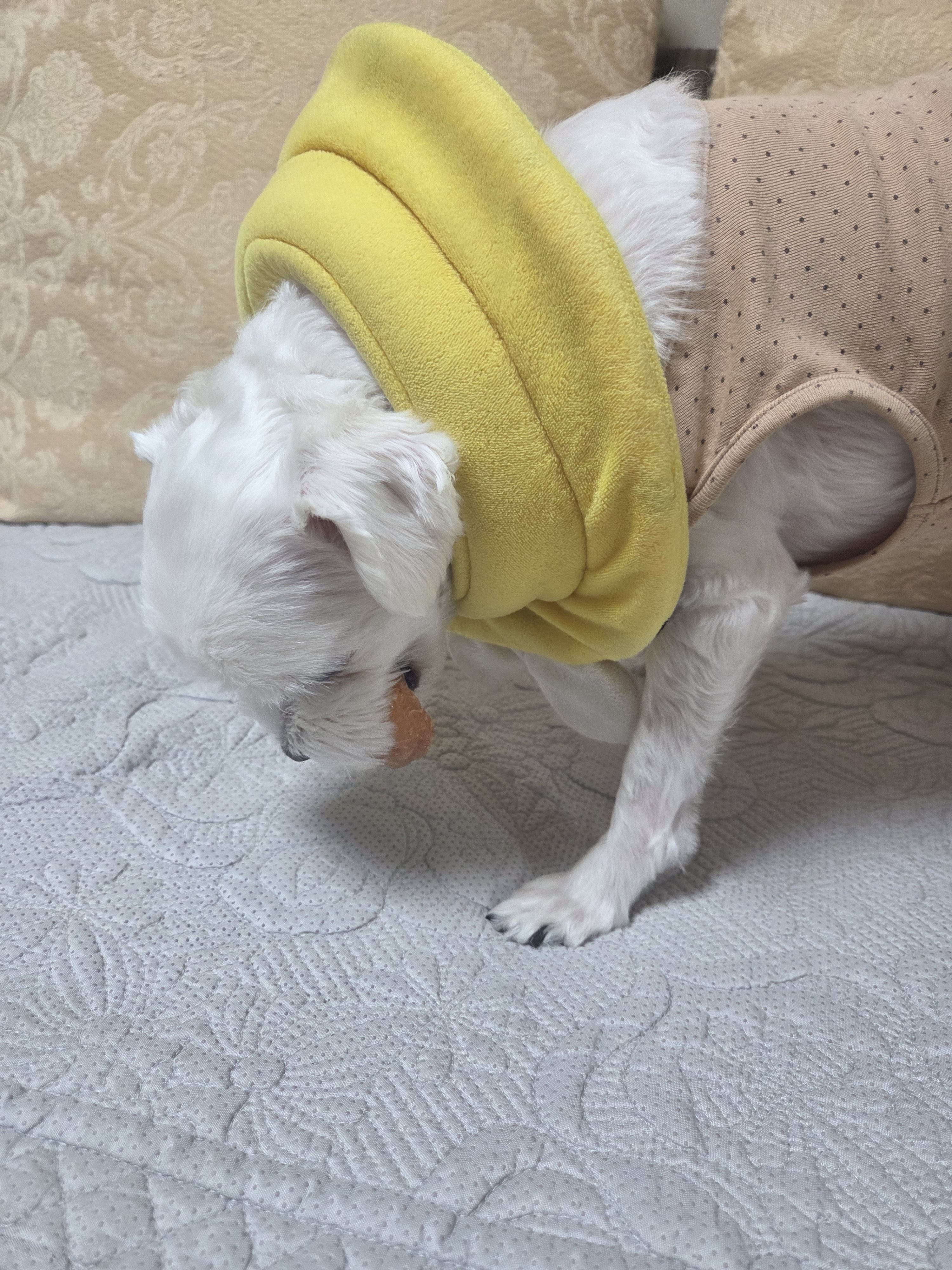 베스트 후기 이미지