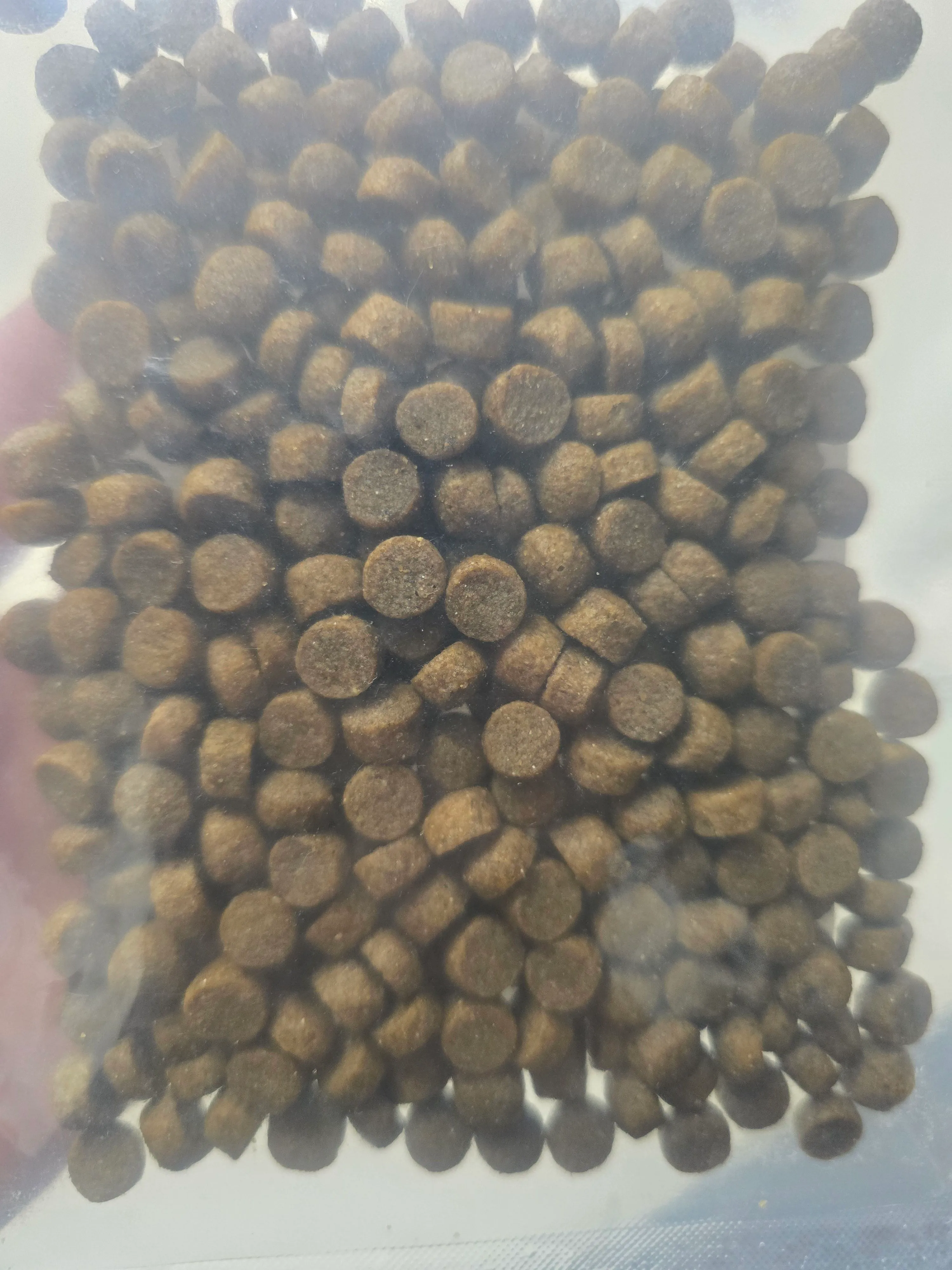 [브랜드전][무료배송] 세이프브이투 독 저알러지 면역력 소고기 2kg 베스트 후기 이미지