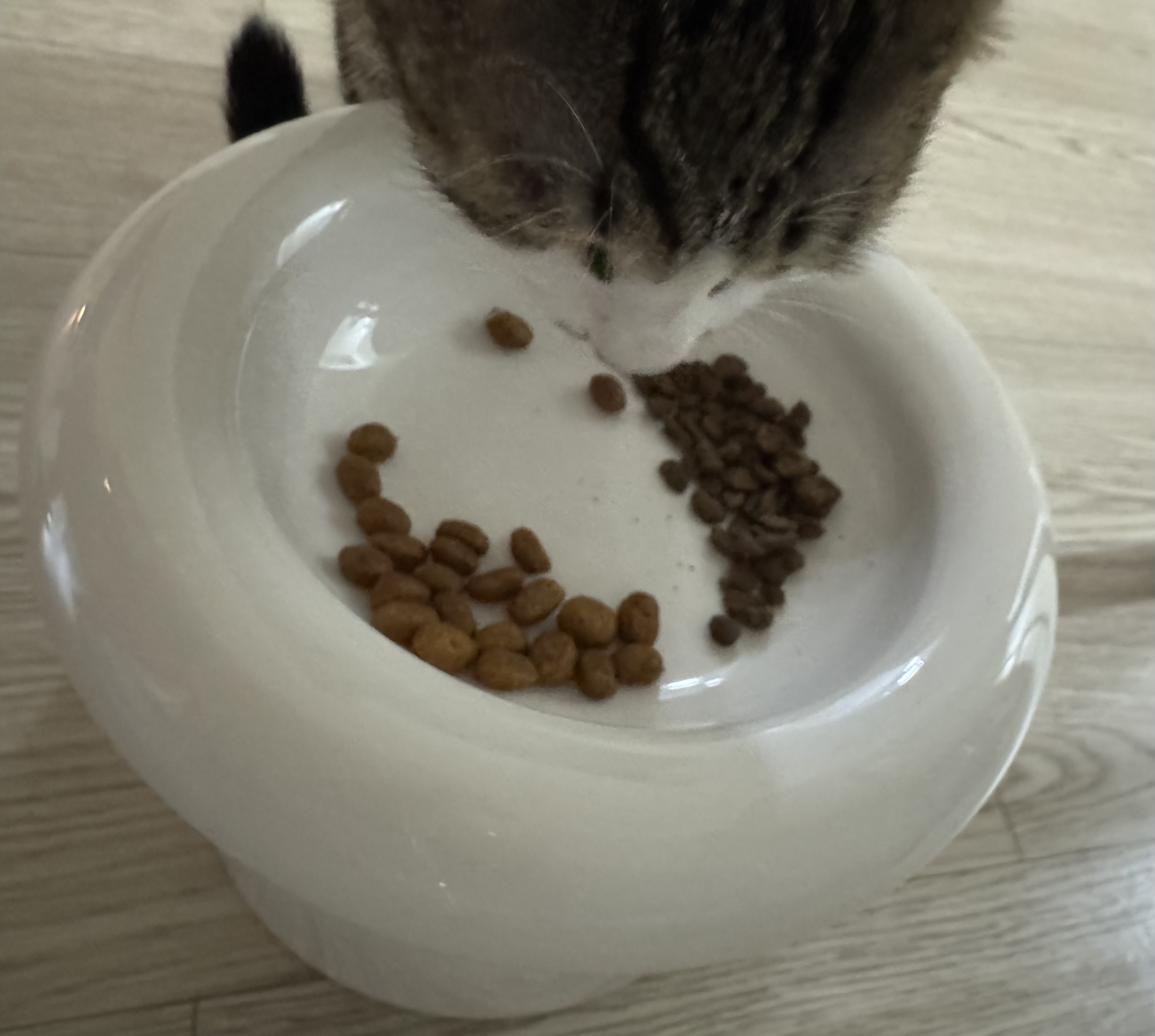 베스트 후기 이미지