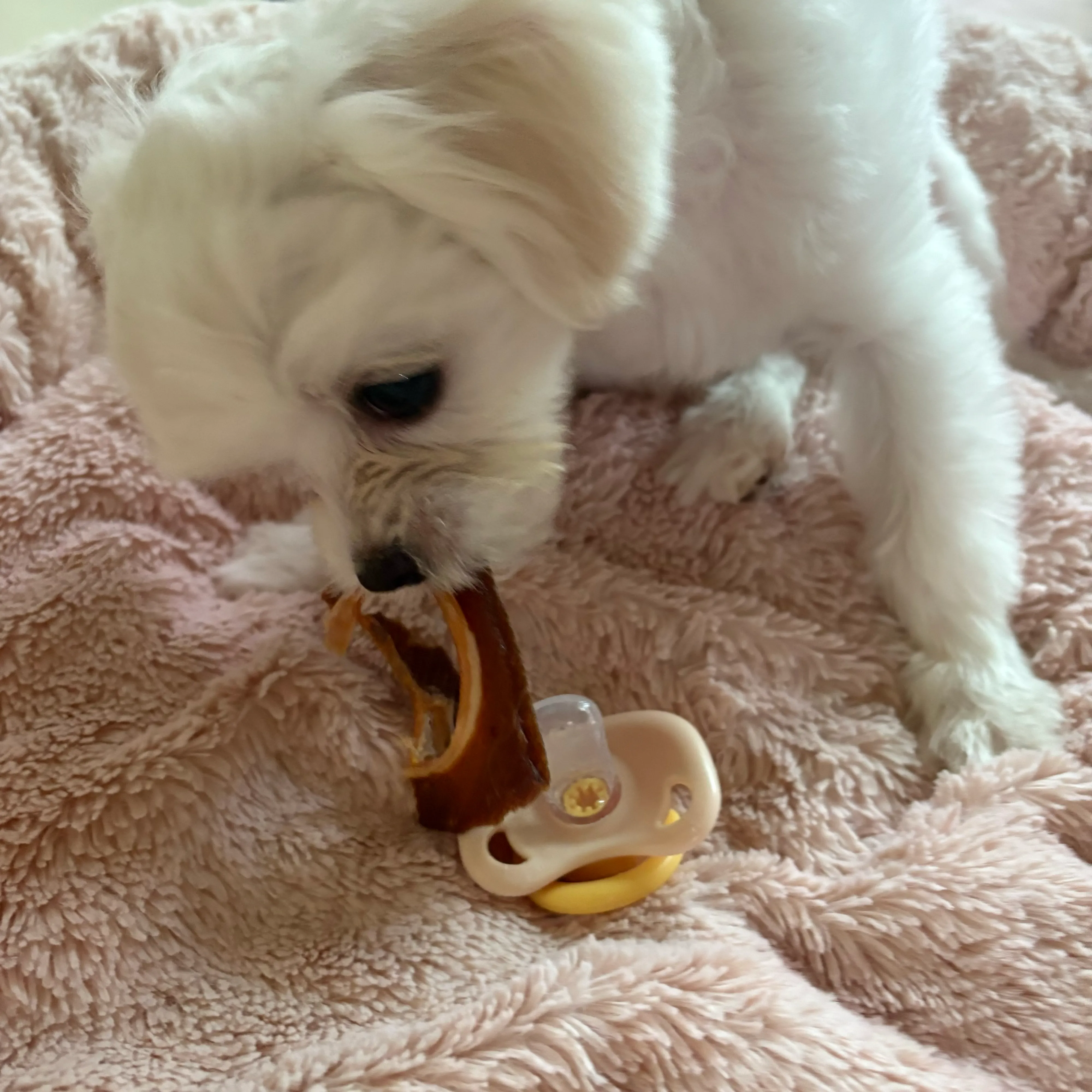 베스트 후기 이미지