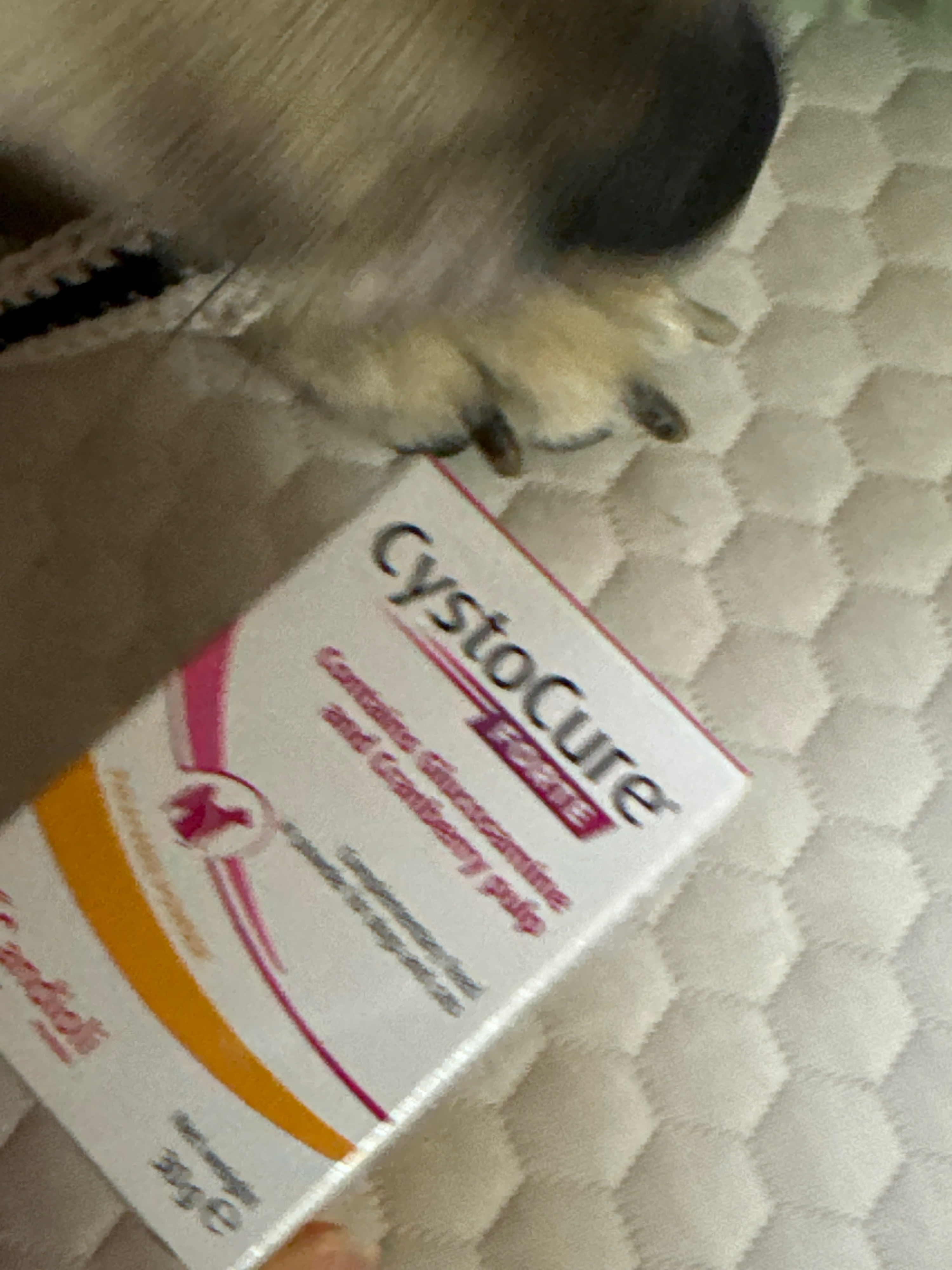 베스트 후기 이미지