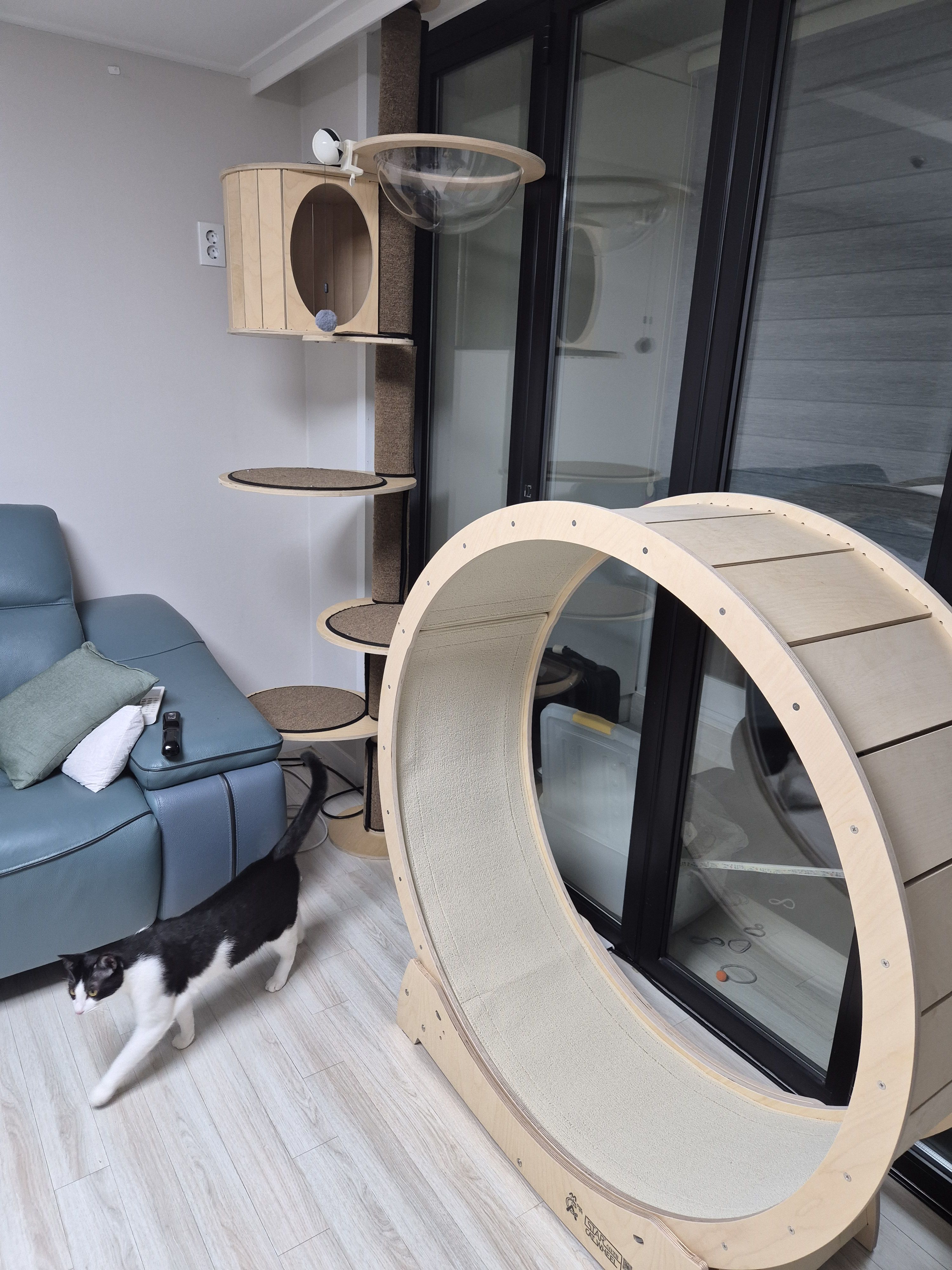 베스트 후기 이미지