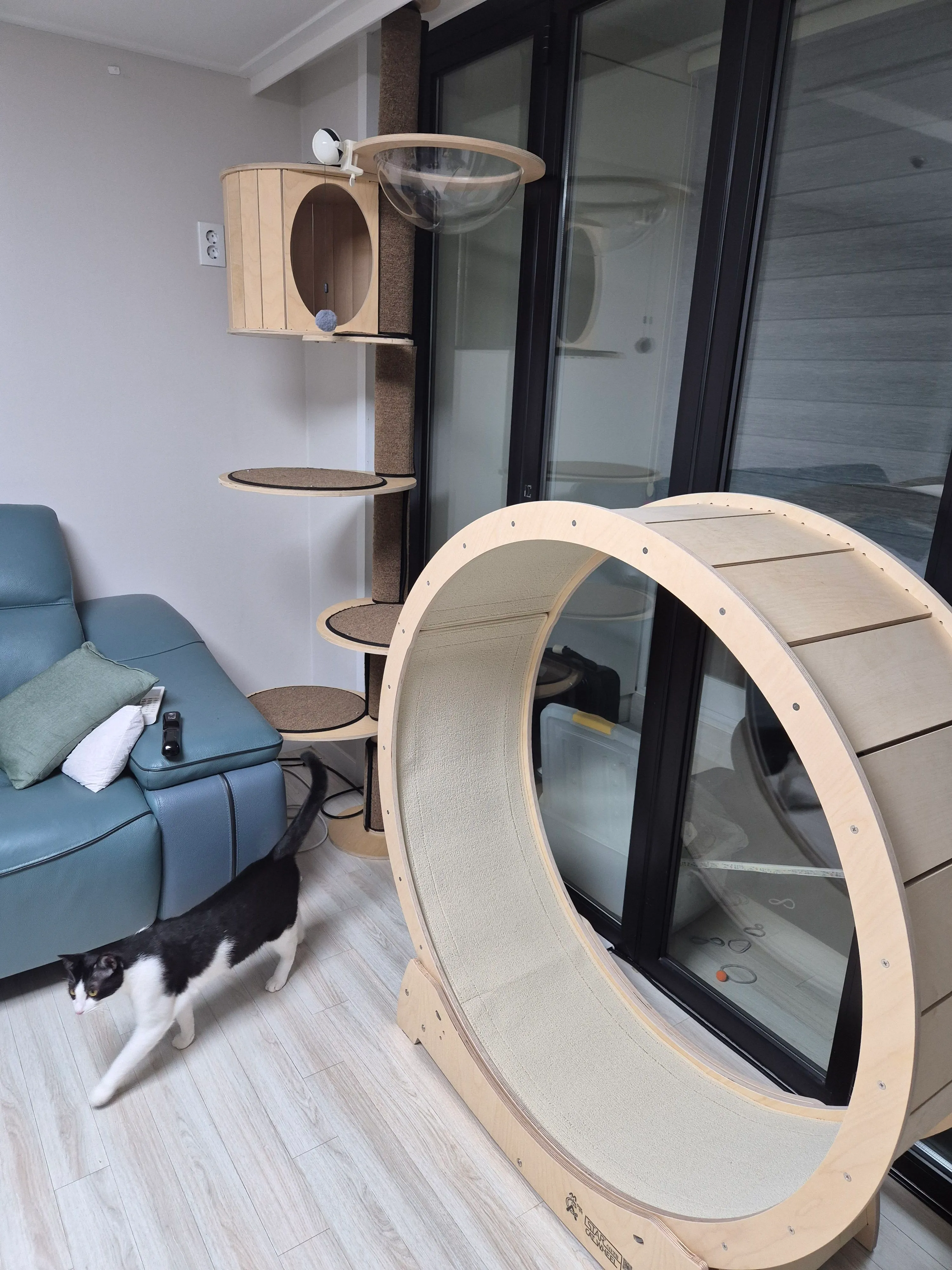 베스트 후기 이미지