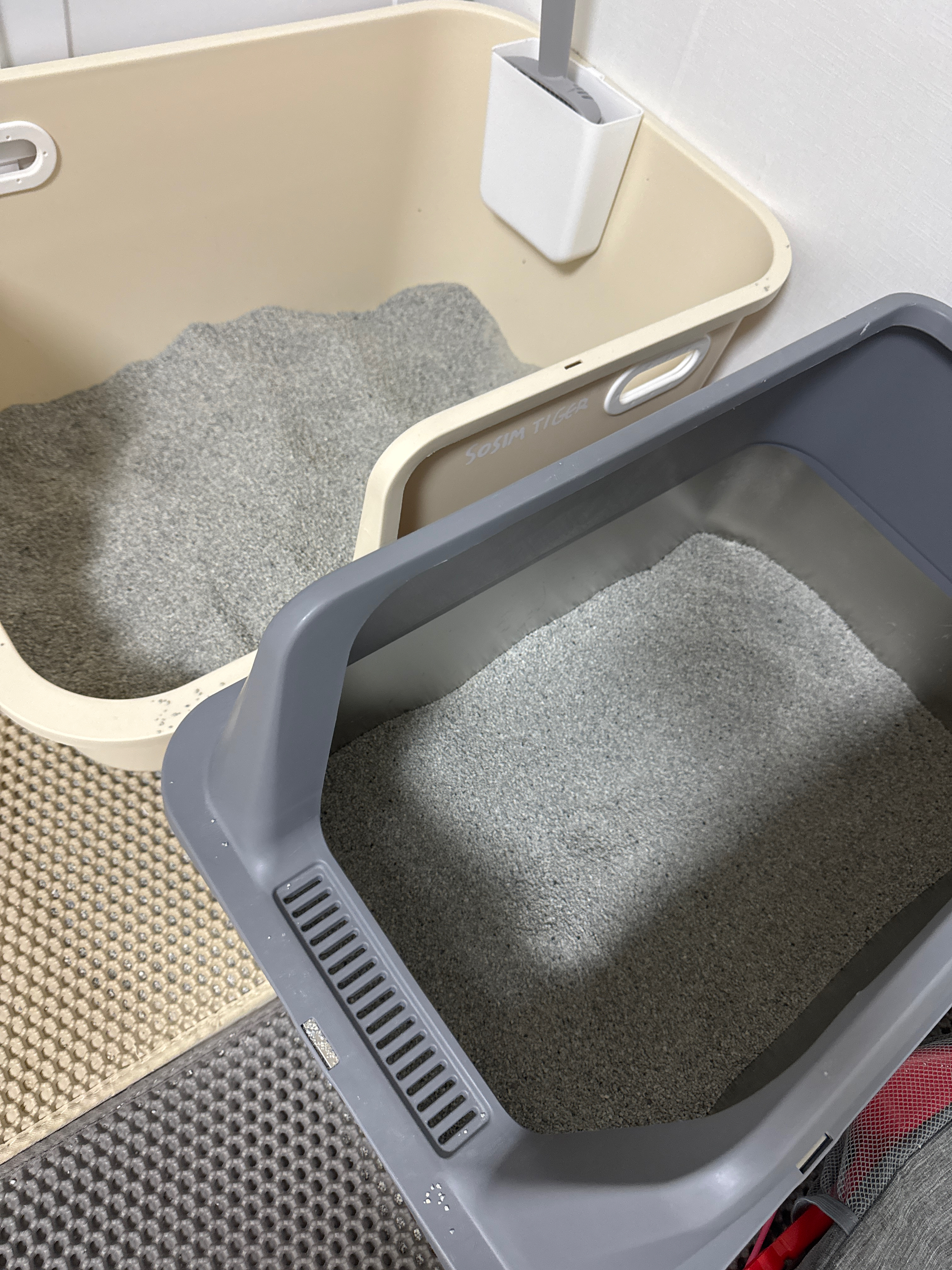 베스트 후기 이미지