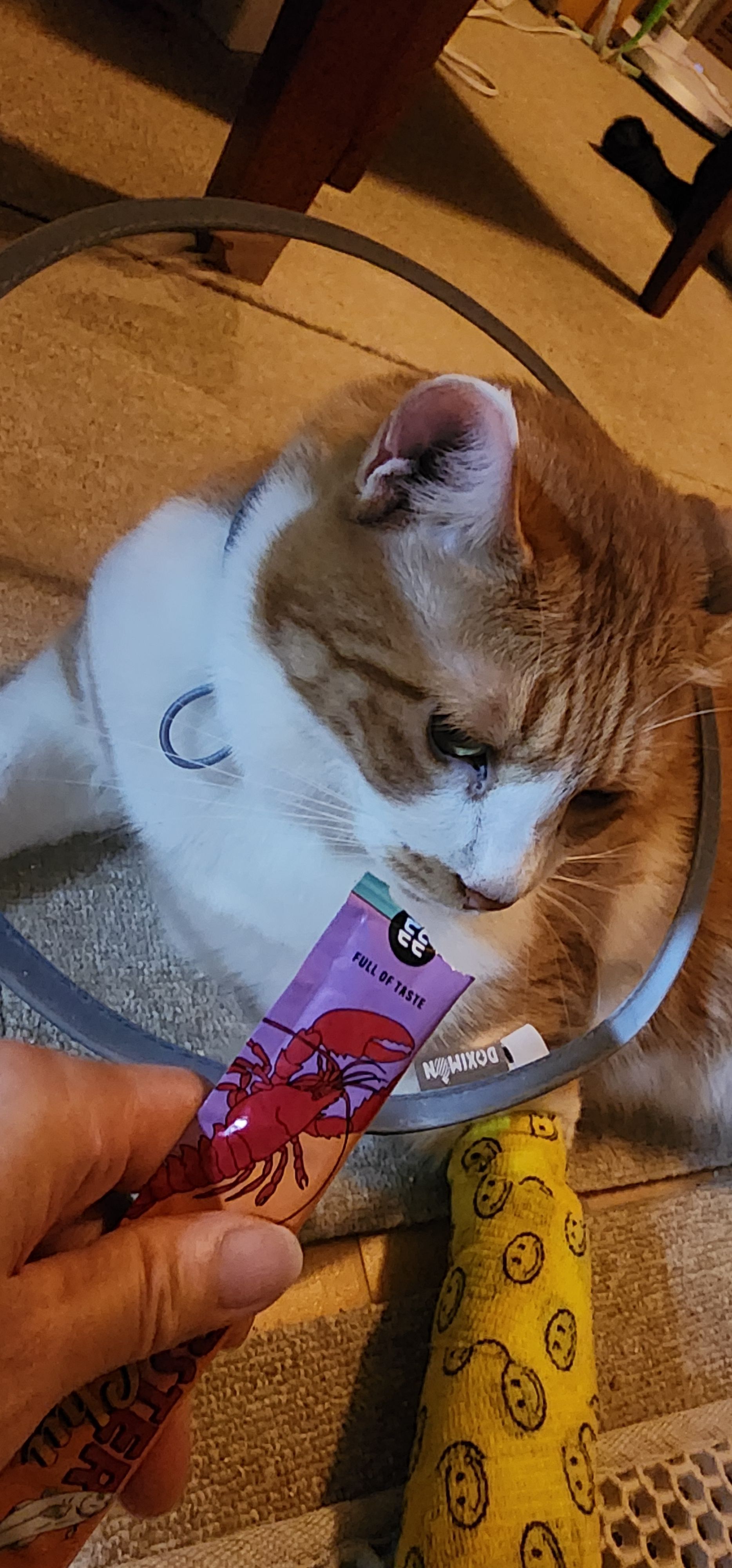 베스트 후기 이미지