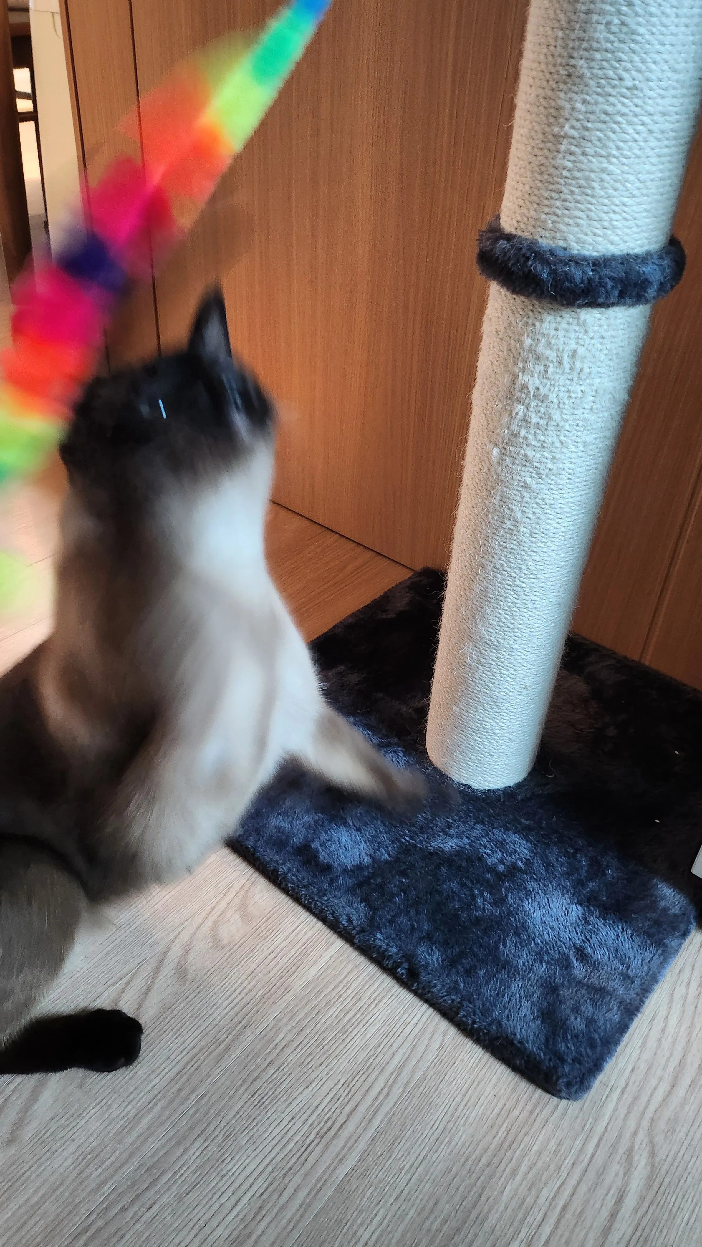 베스트 후기 이미지