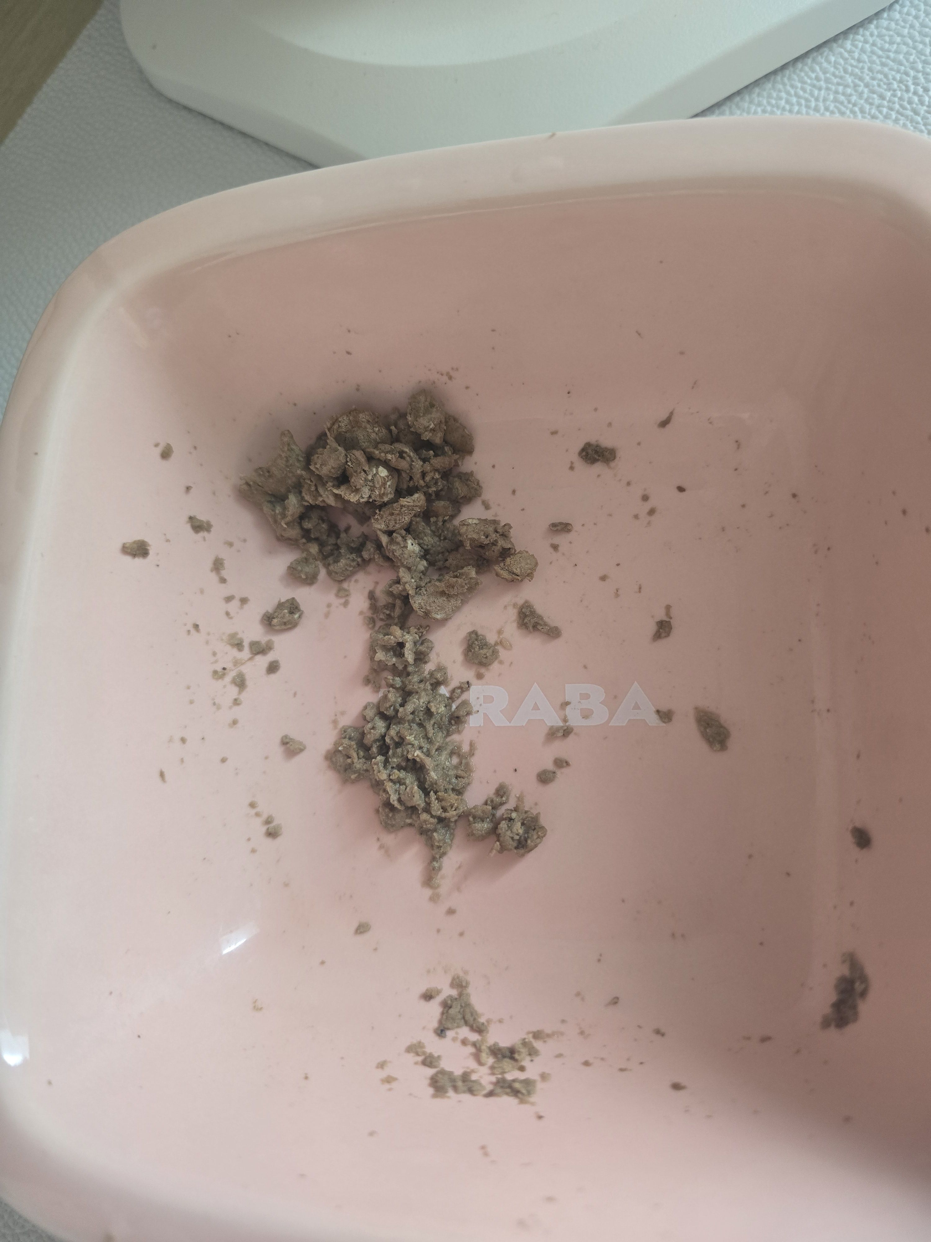 베스트 후기 이미지