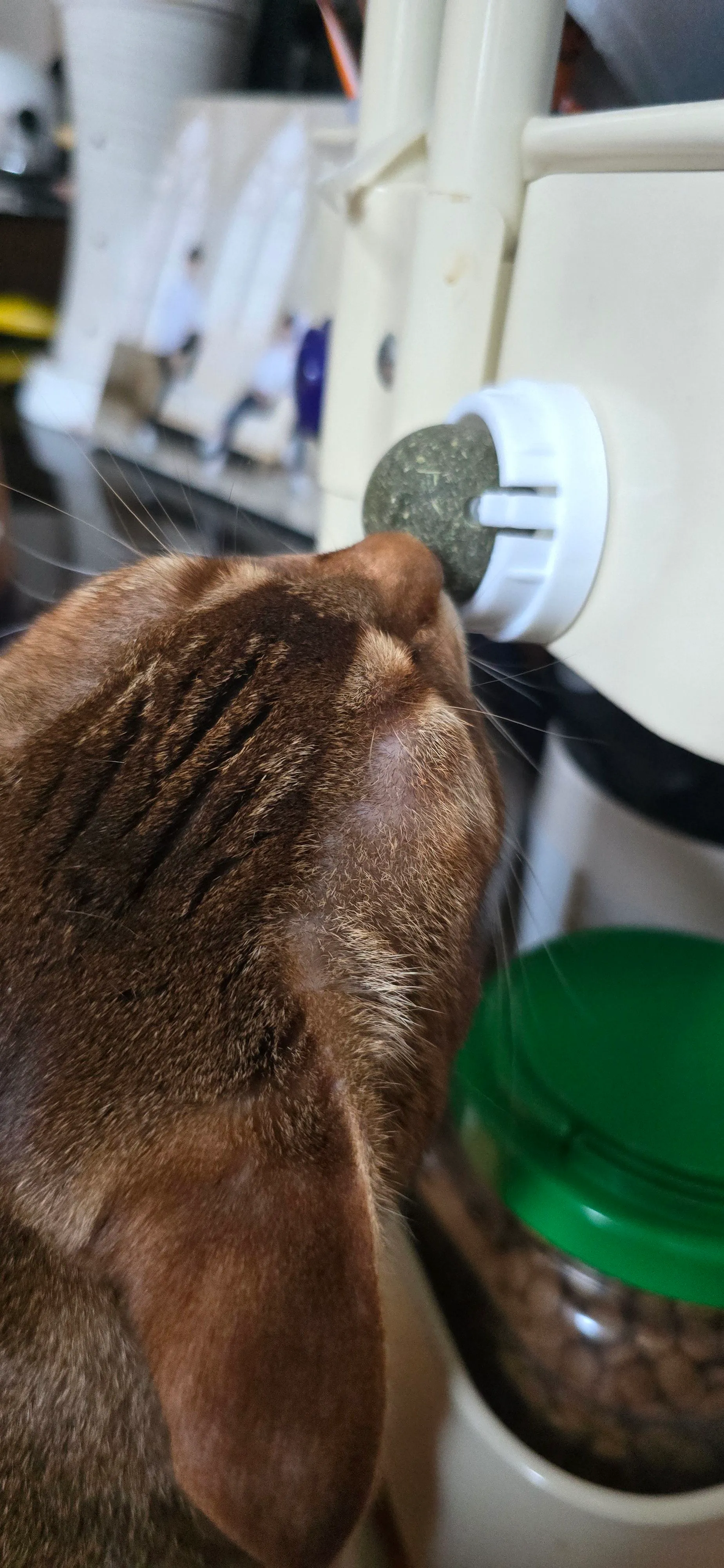 베스트 후기 이미지