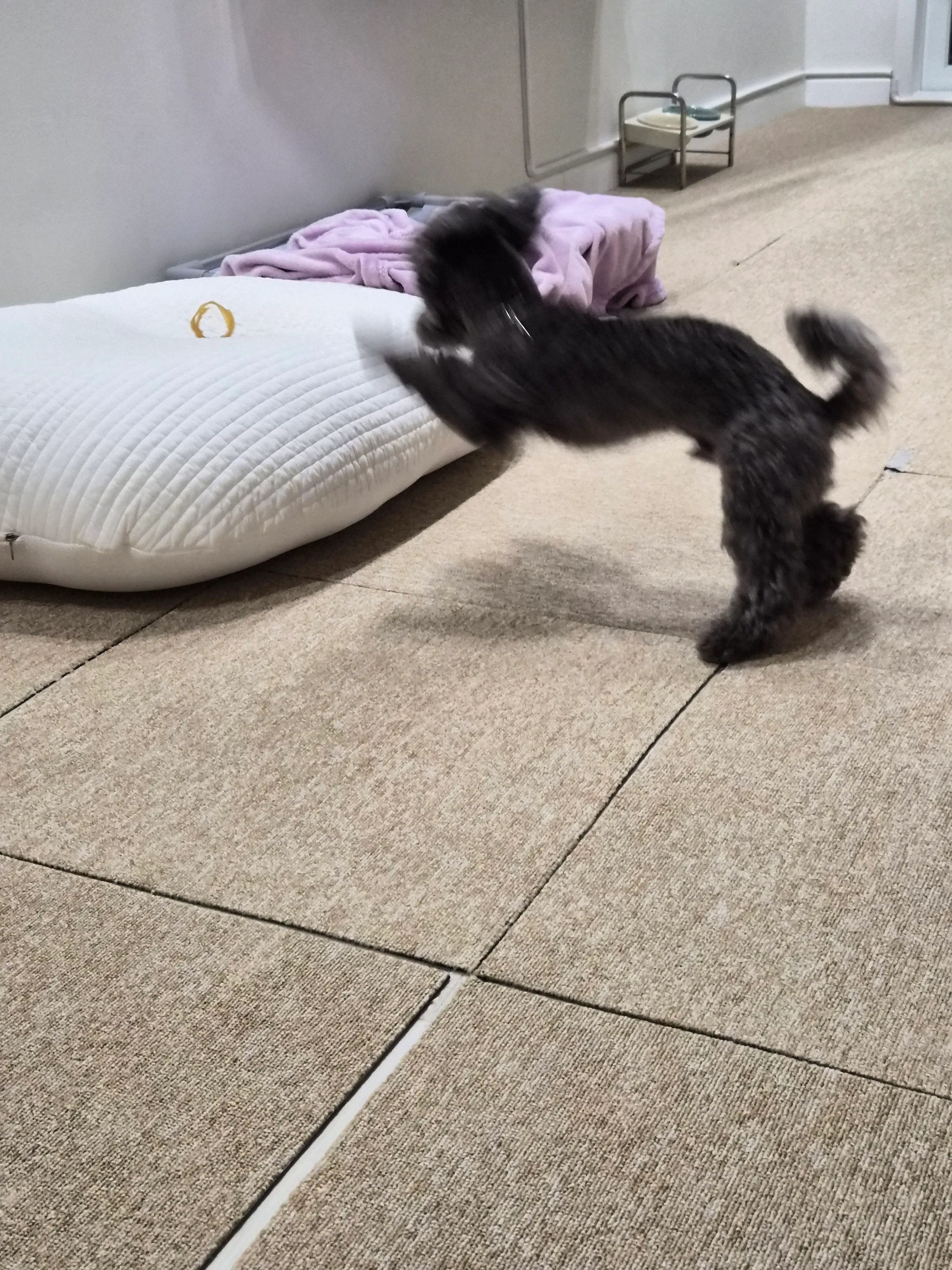 베스트 후기 이미지