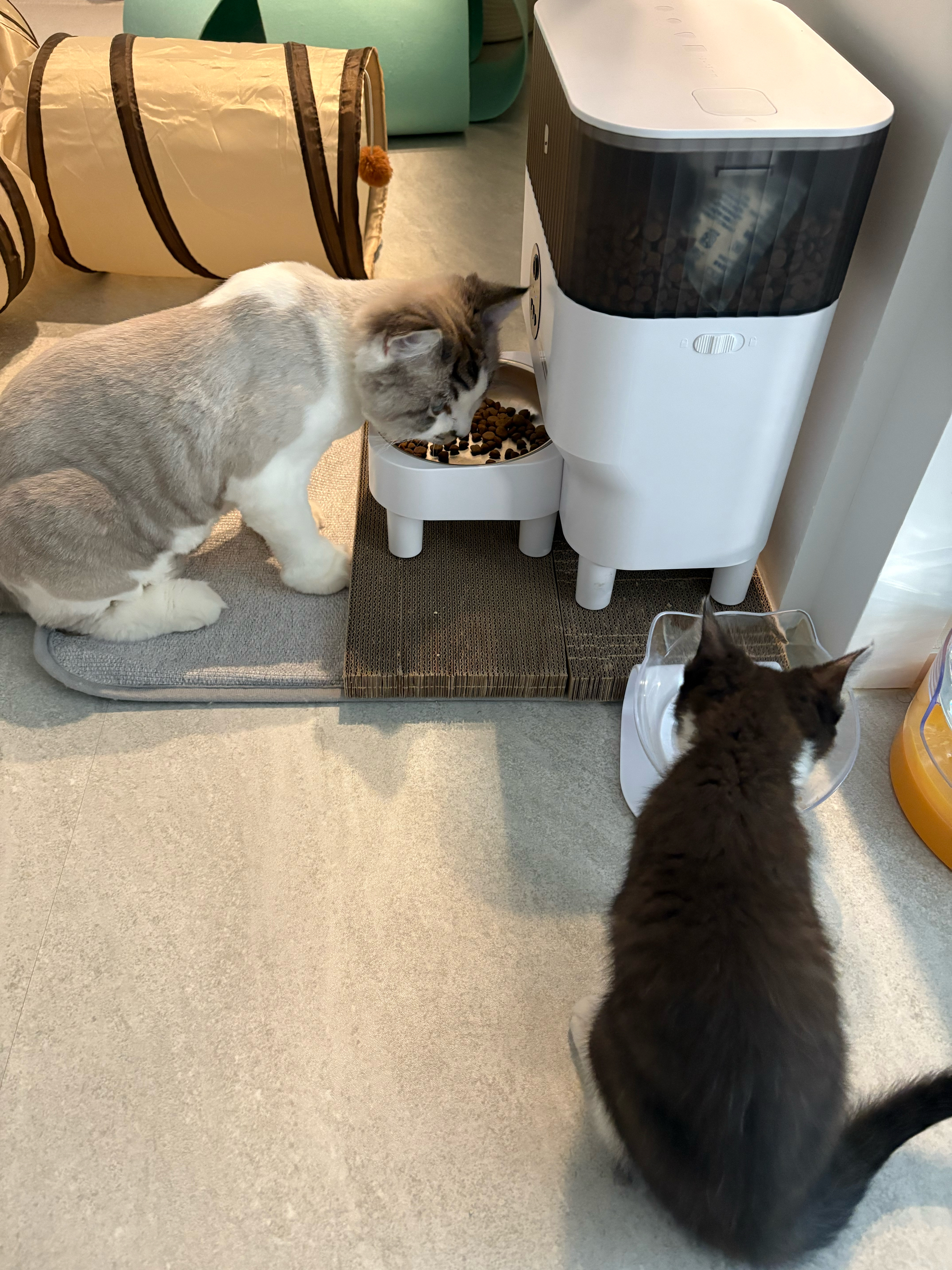 베스트 후기 이미지