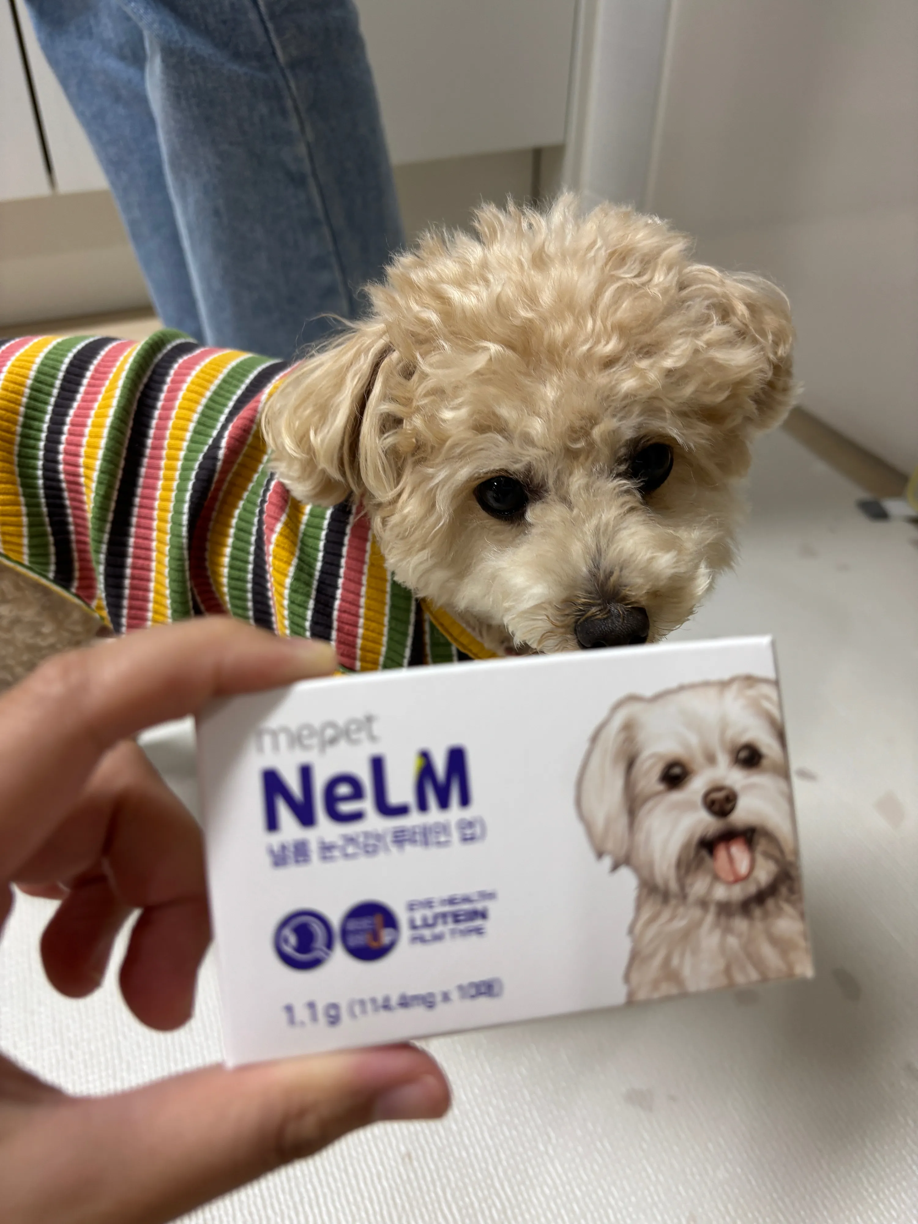 베스트 후기 이미지