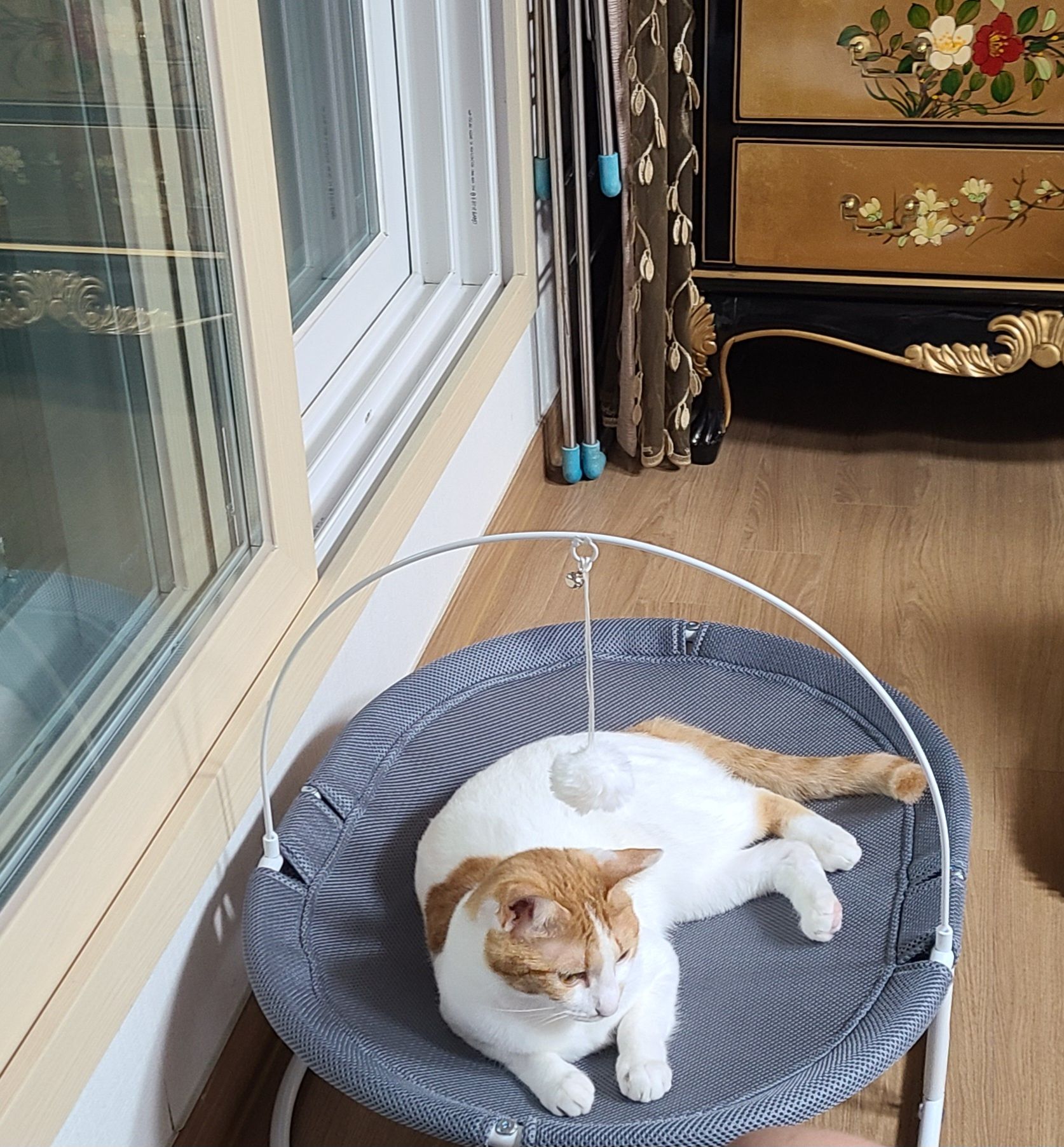 베스트 후기 이미지