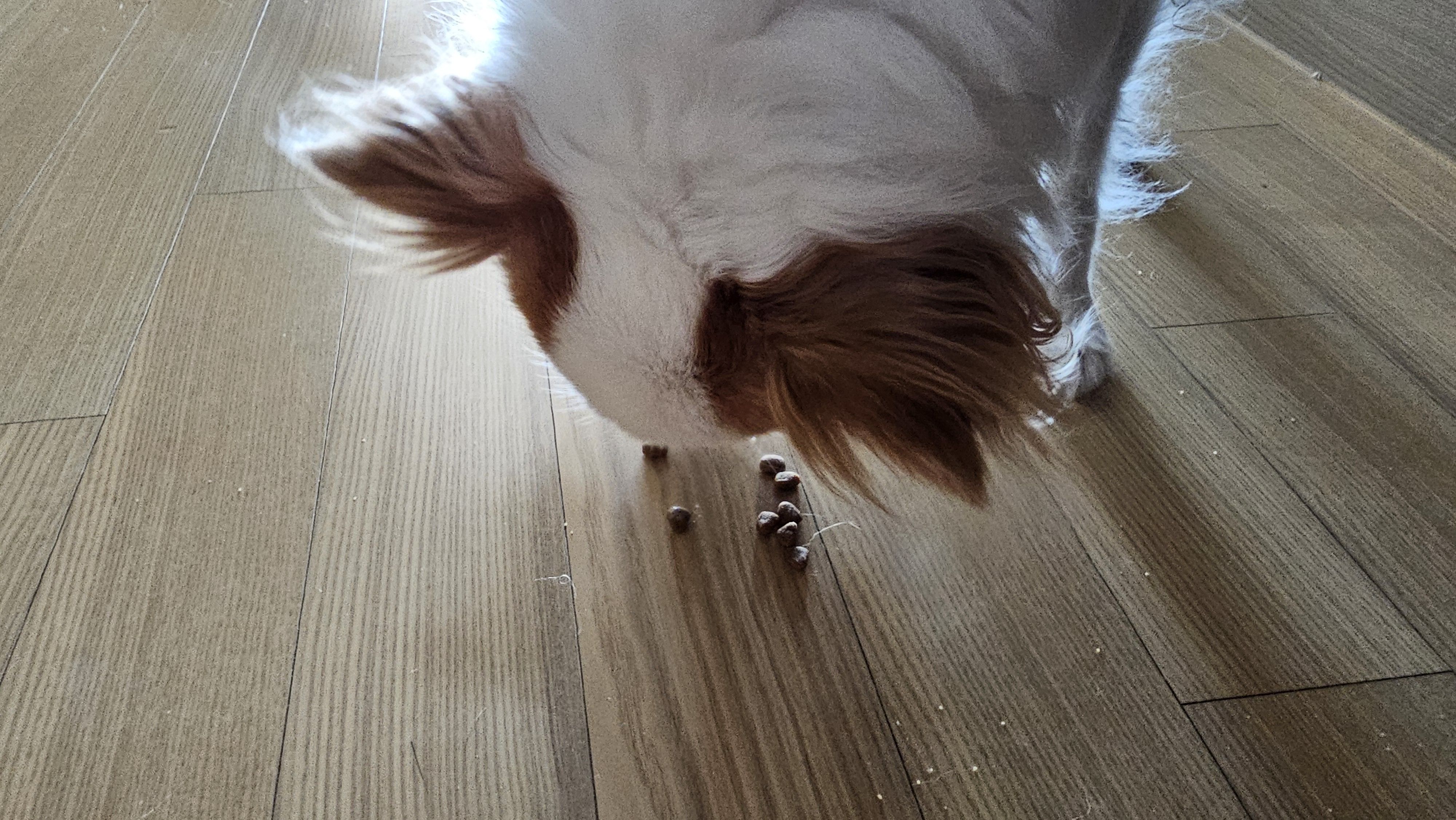 베스트 후기 이미지