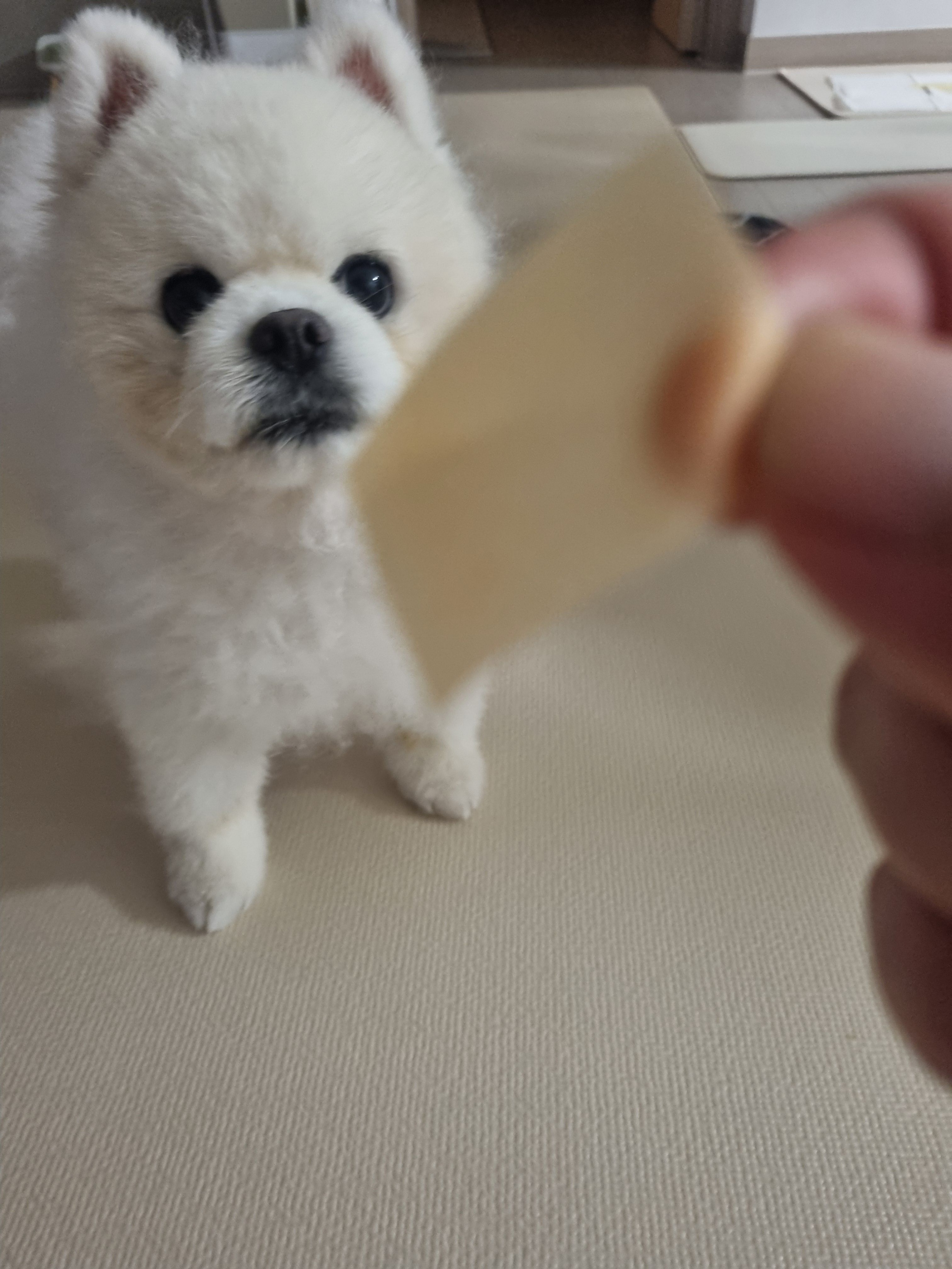 베스트 후기 이미지