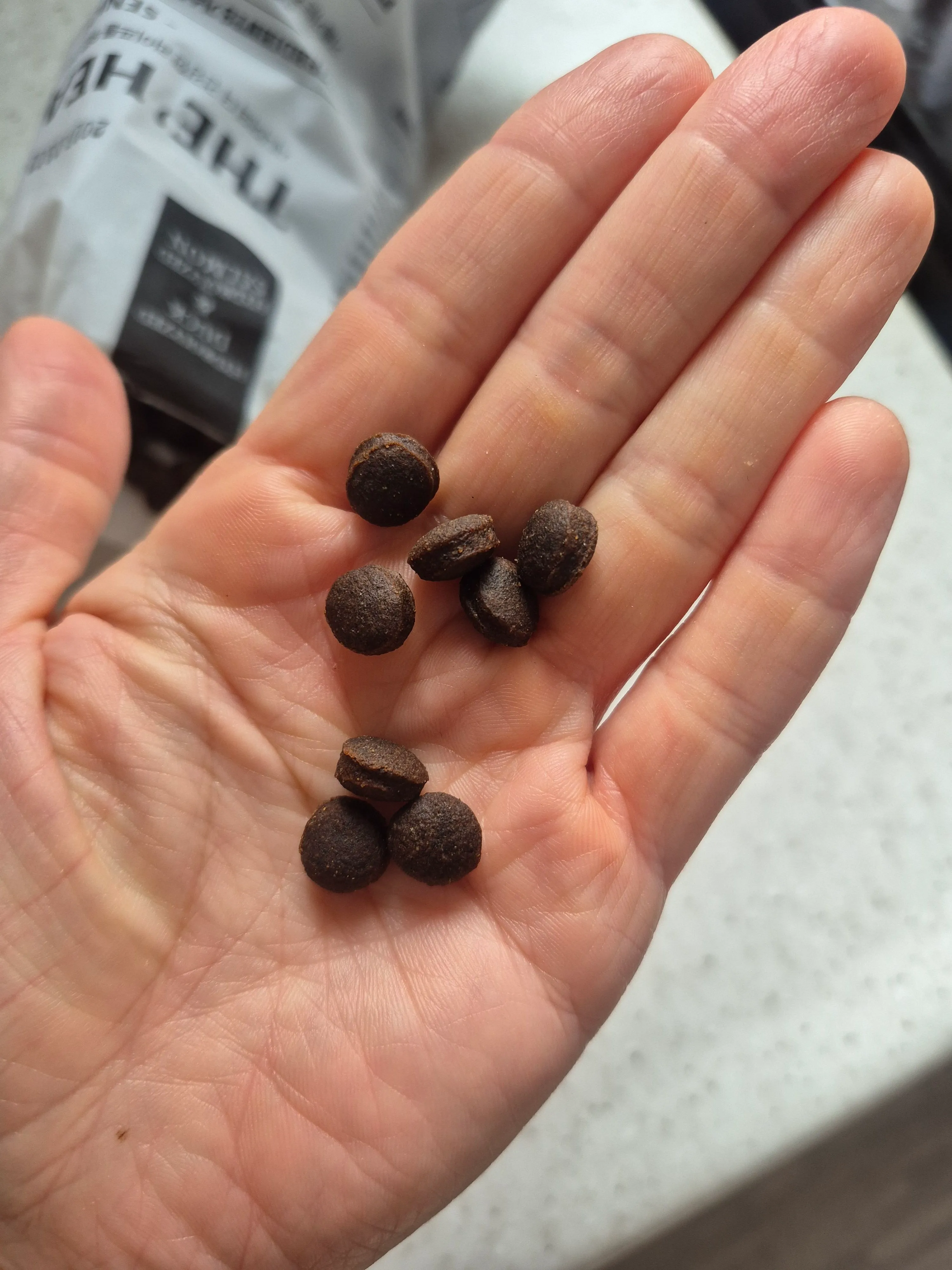 베스트 후기 이미지