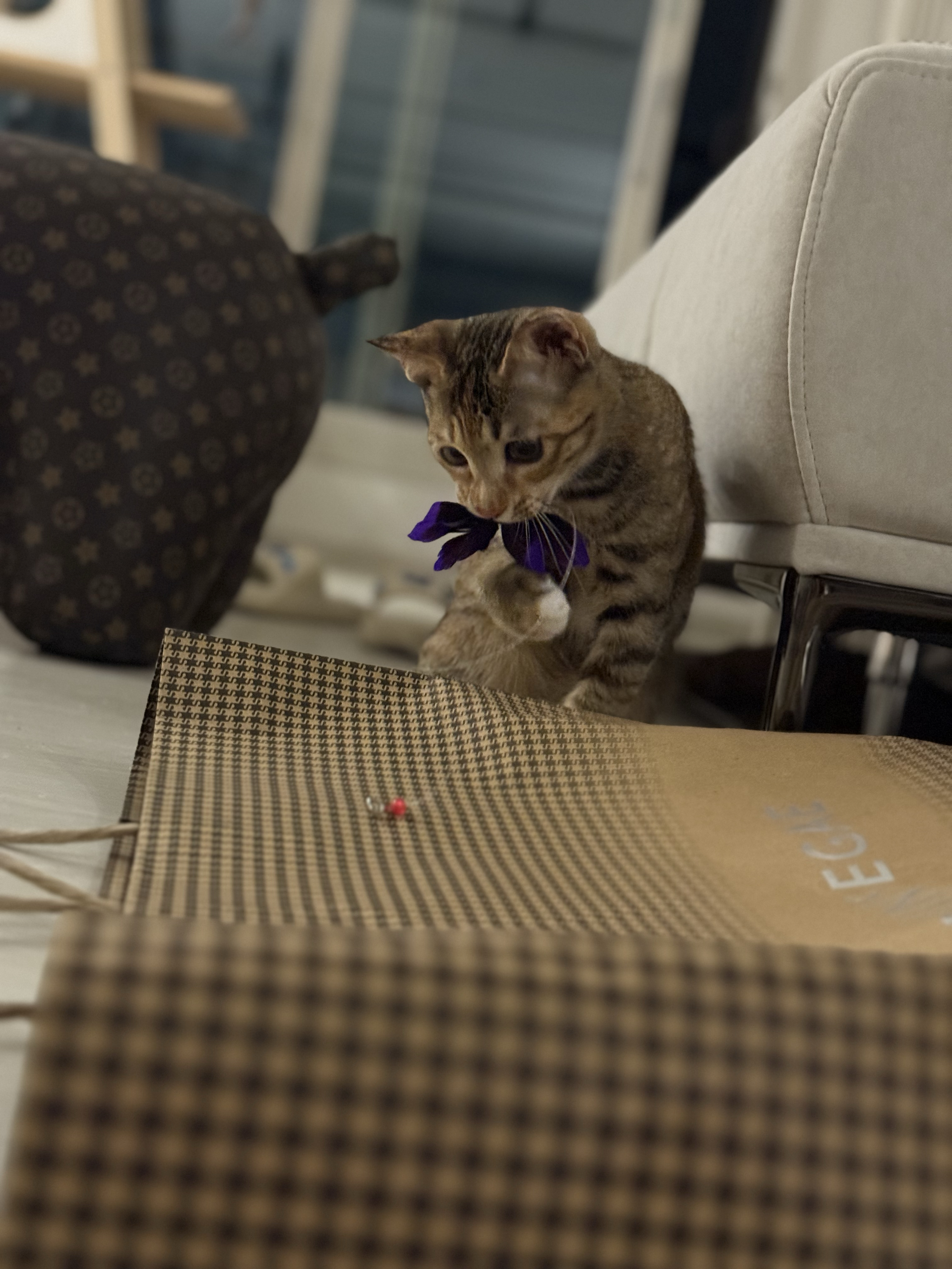 베스트 후기 이미지