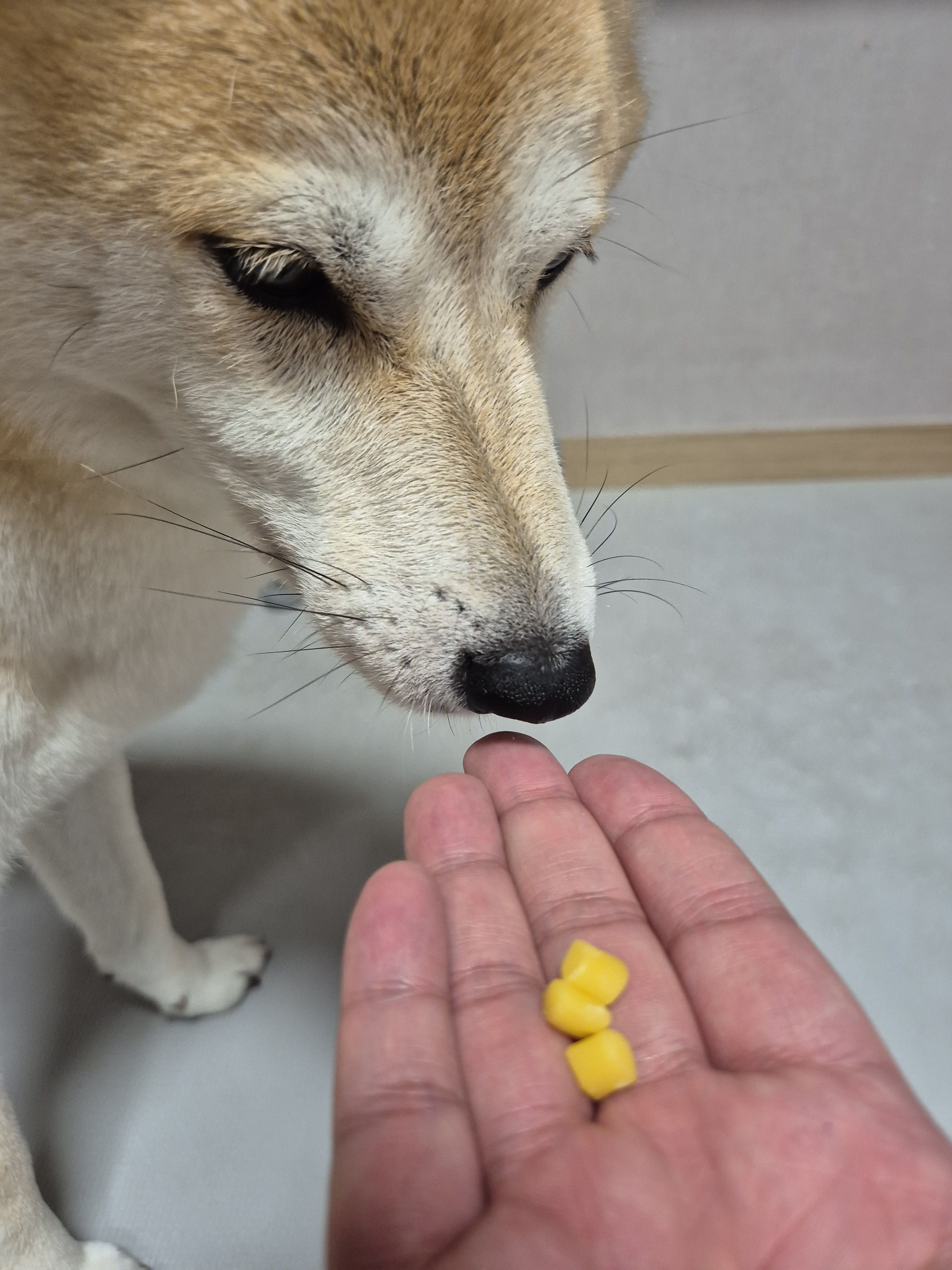 베스트 후기 이미지