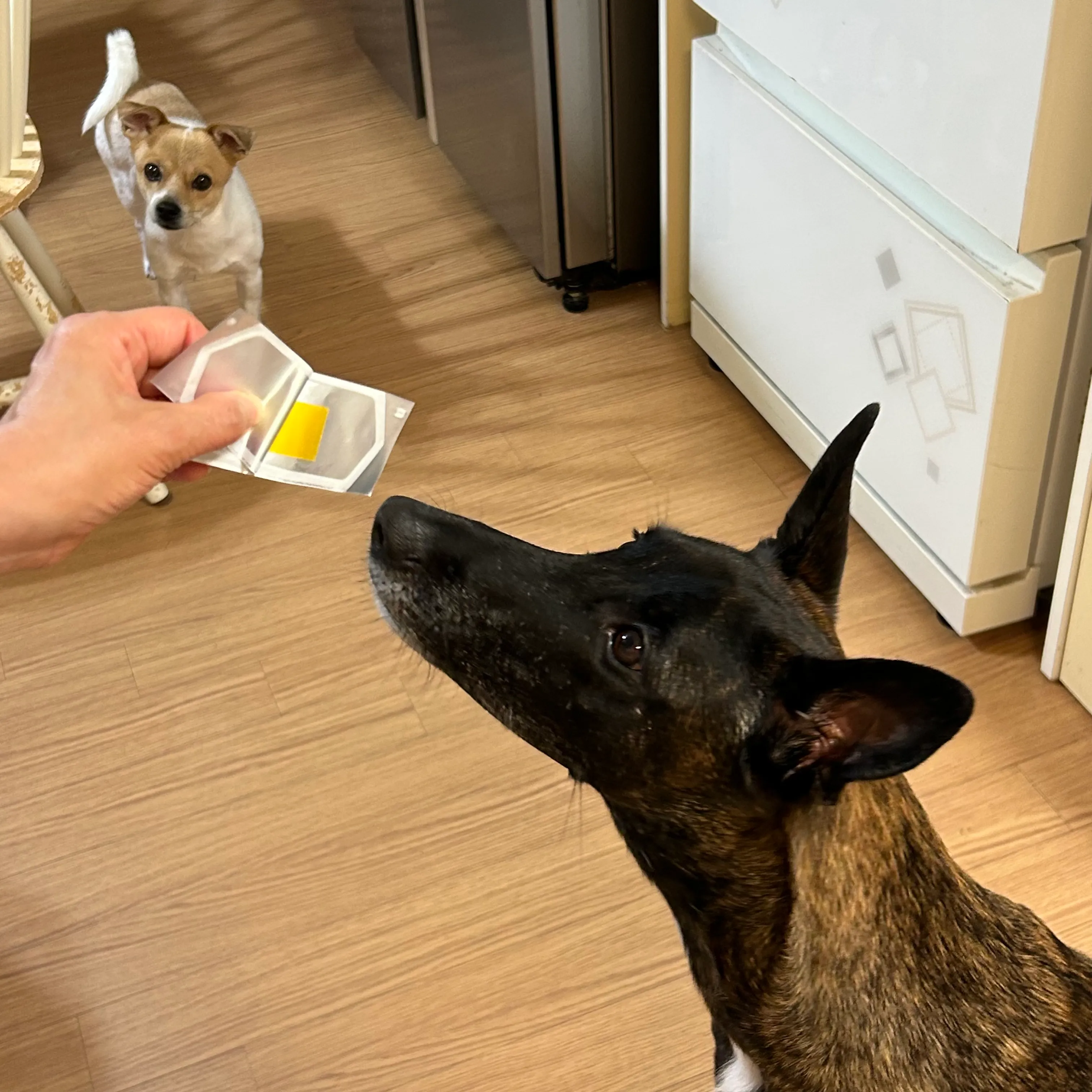 베스트 후기 이미지