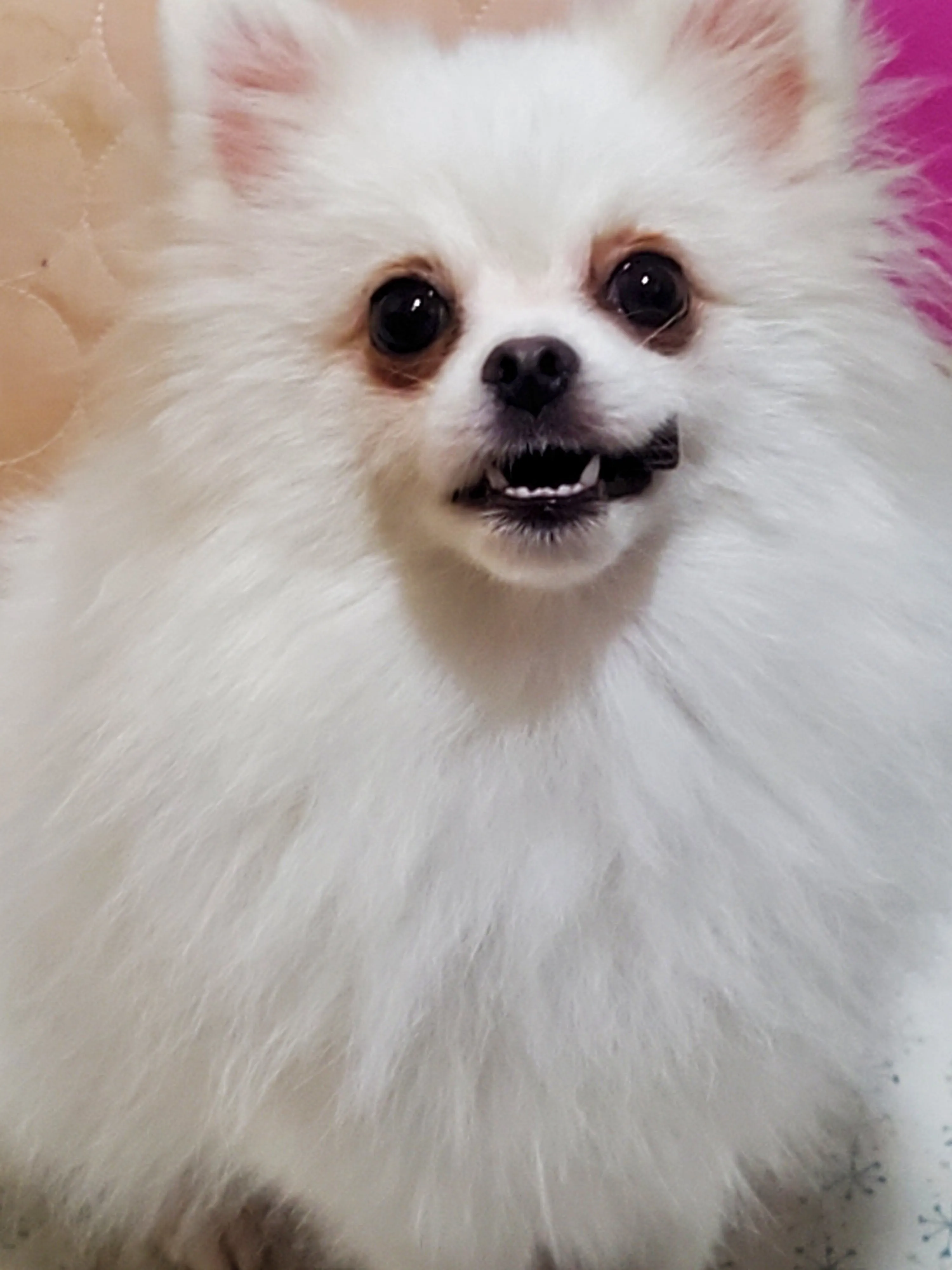 베스트 후기 이미지